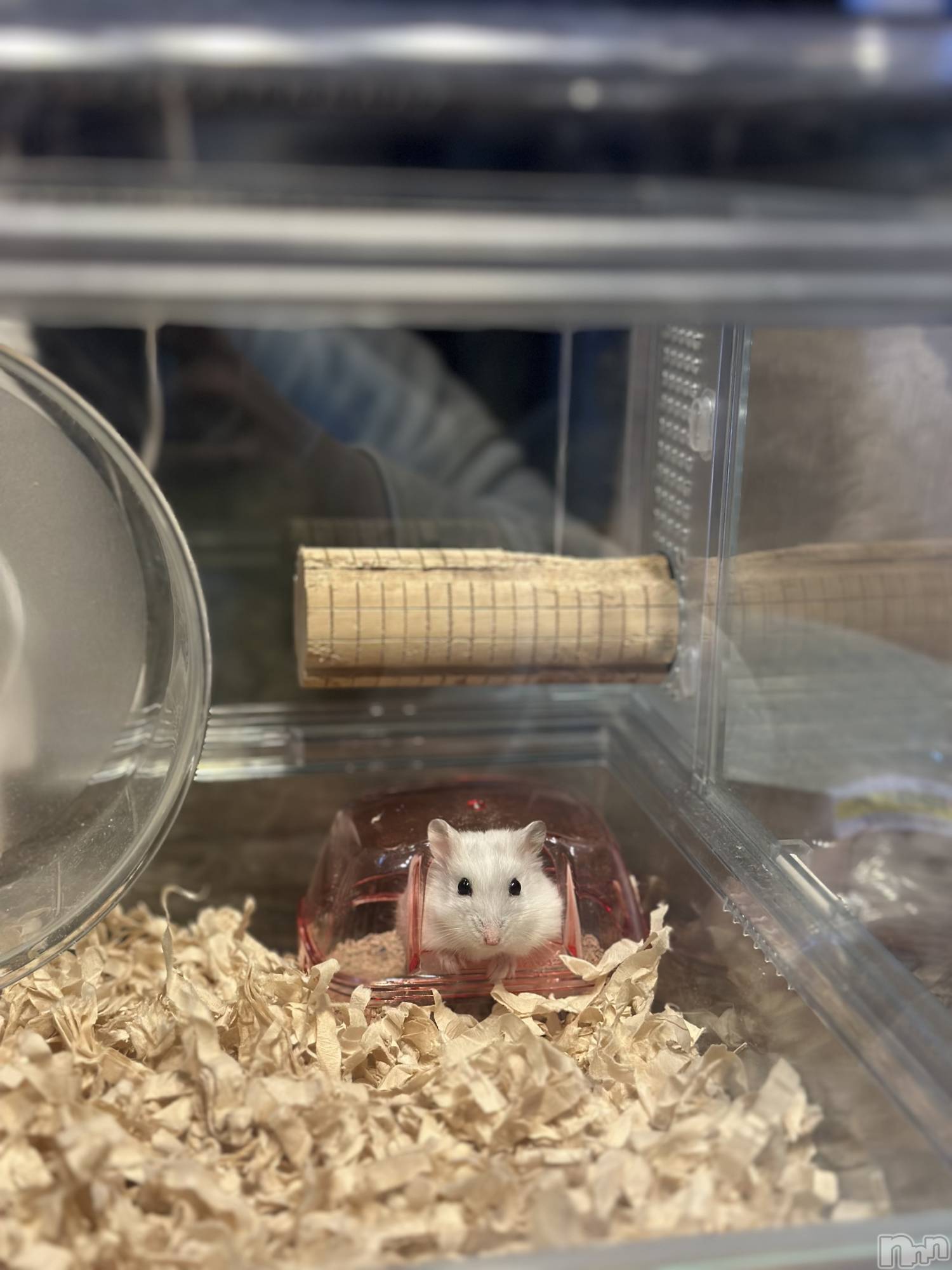 ���ܱ�������Х��顦�����K-LOUNGE(�����饦��) ��2026ǯ1��5���̥�֥����֤���������