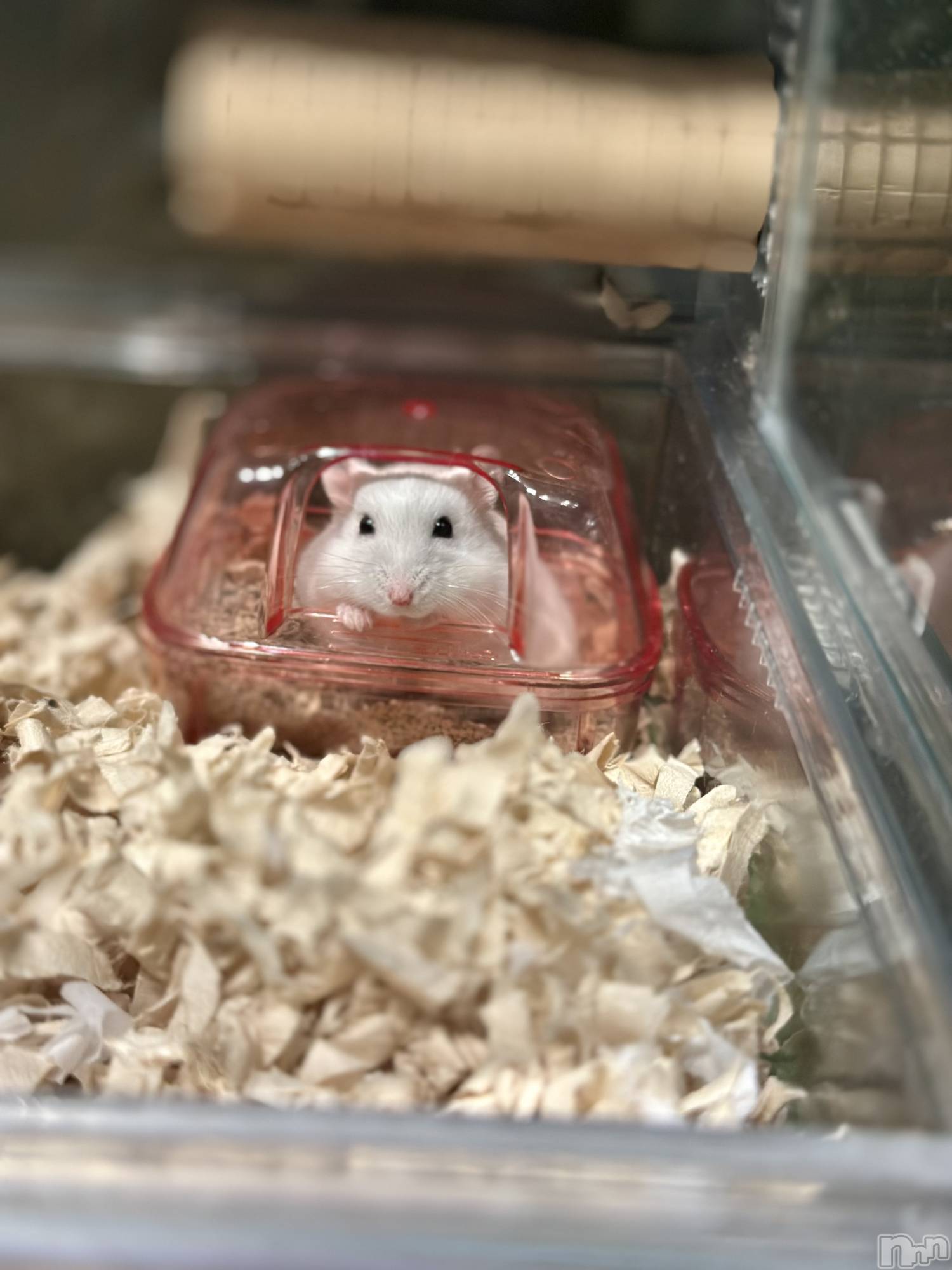 ���ܱ�������Х��顦�����K-LOUNGE(�����饦��) ��2026ǯ1��9���̥�֥����ֺ����Τ������