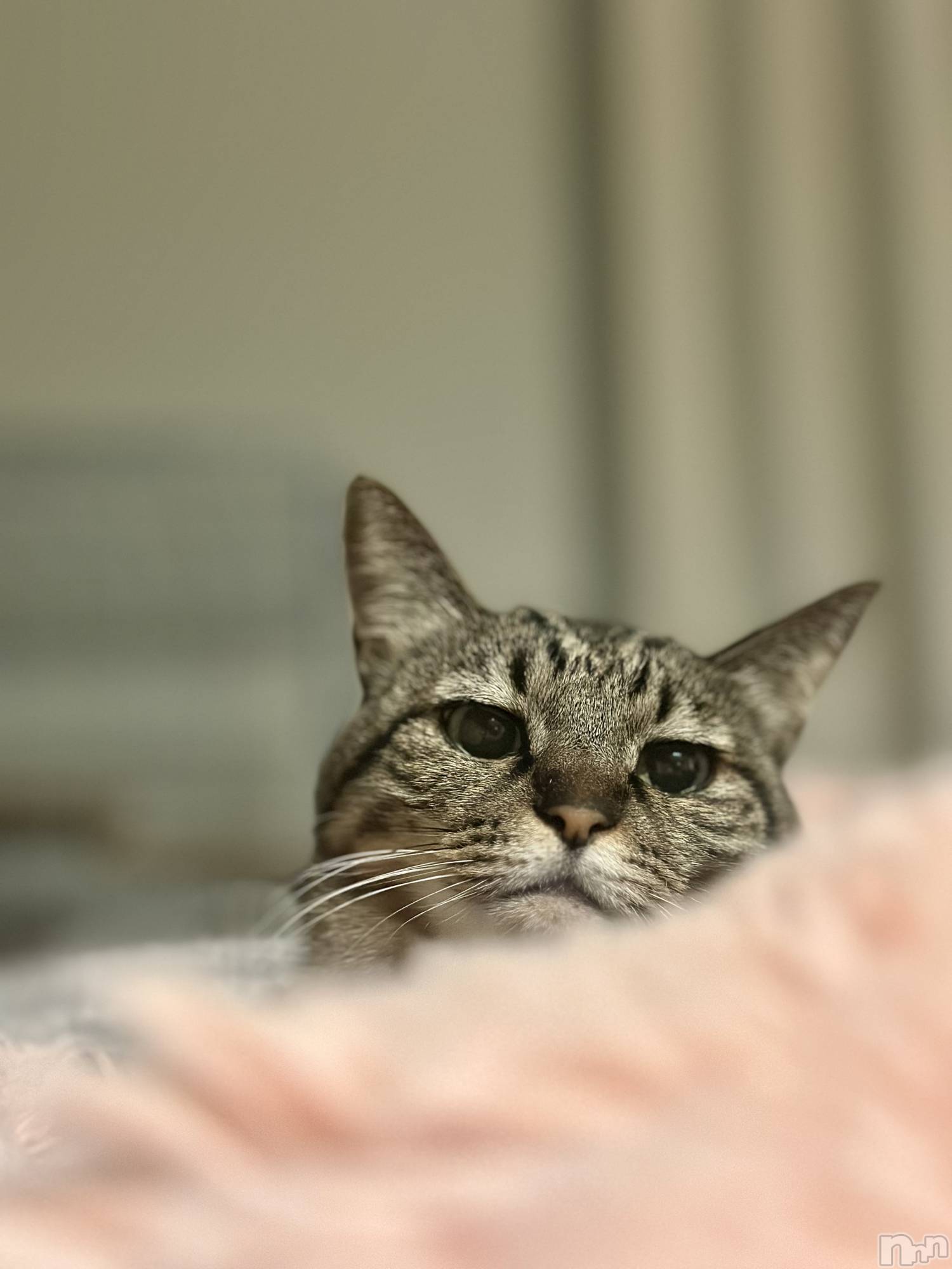 ���ܱ�������Х��顦�����K-LOUNGE(�����饦��) ��2026ǯ1��10���̥�֥����֡���