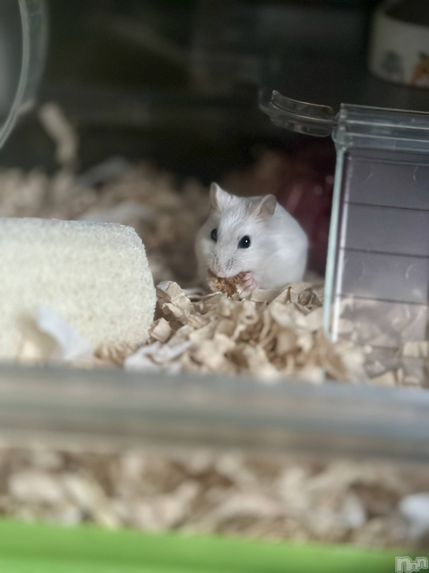 ���ܱ�������Х��顦�����K-LOUNGE(�����饦��) ��2026ǯ1��21���̥�֥����ֺ����Τ������