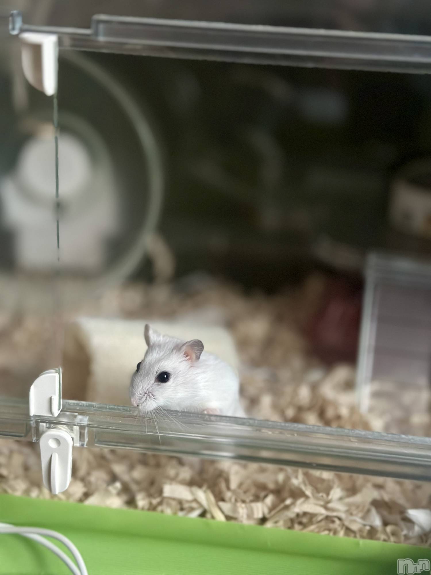 ���ܱ�������Х��顦�����K-LOUNGE(�����饦��) ��2026ǯ1��26���̥�֥����ֺ����Τ������