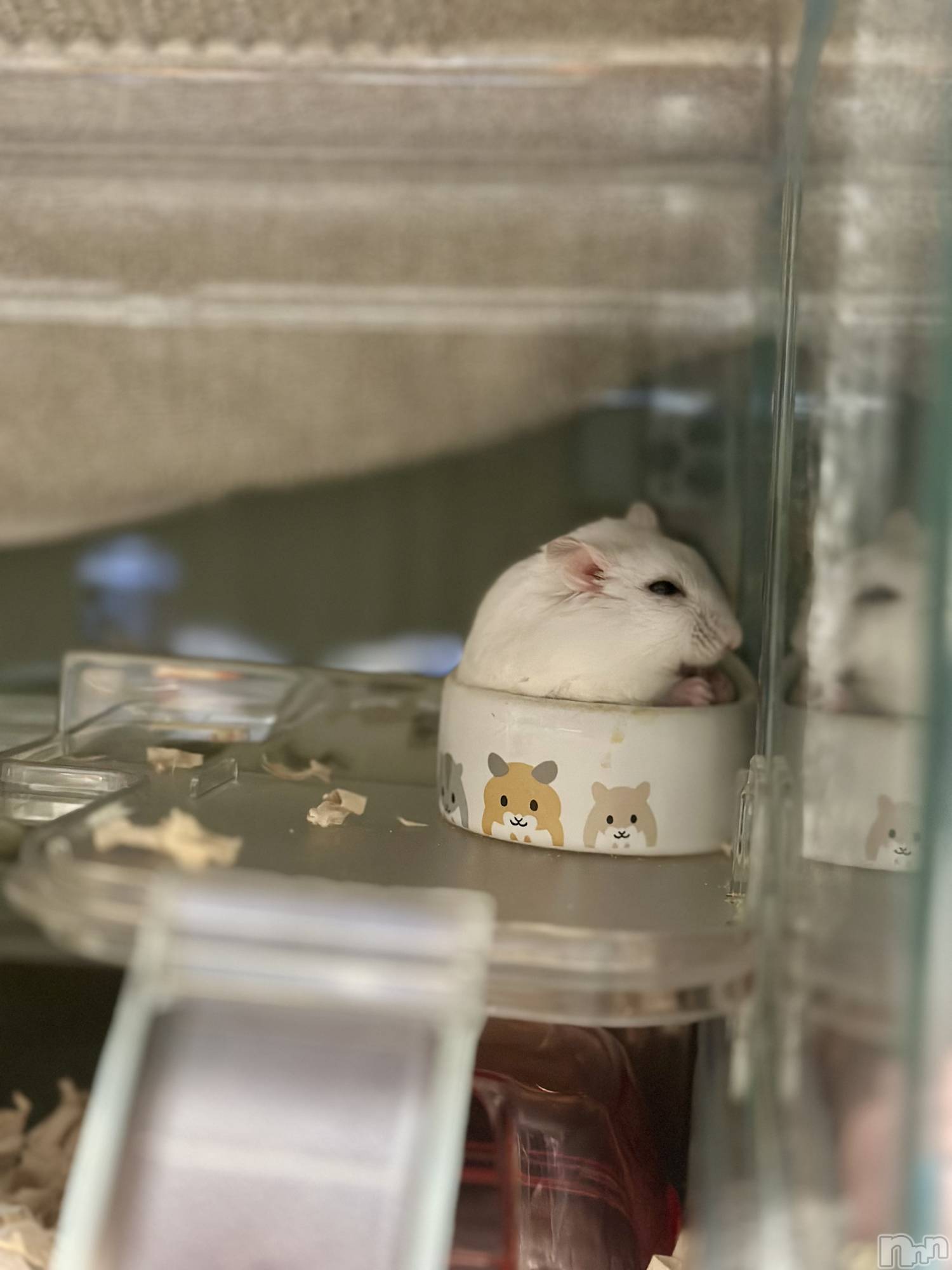 ���ܱ�������Х��顦�����K-LOUNGE(�����饦��) ��2026ǯ1��25���̥�֥����ֺ����Τ������