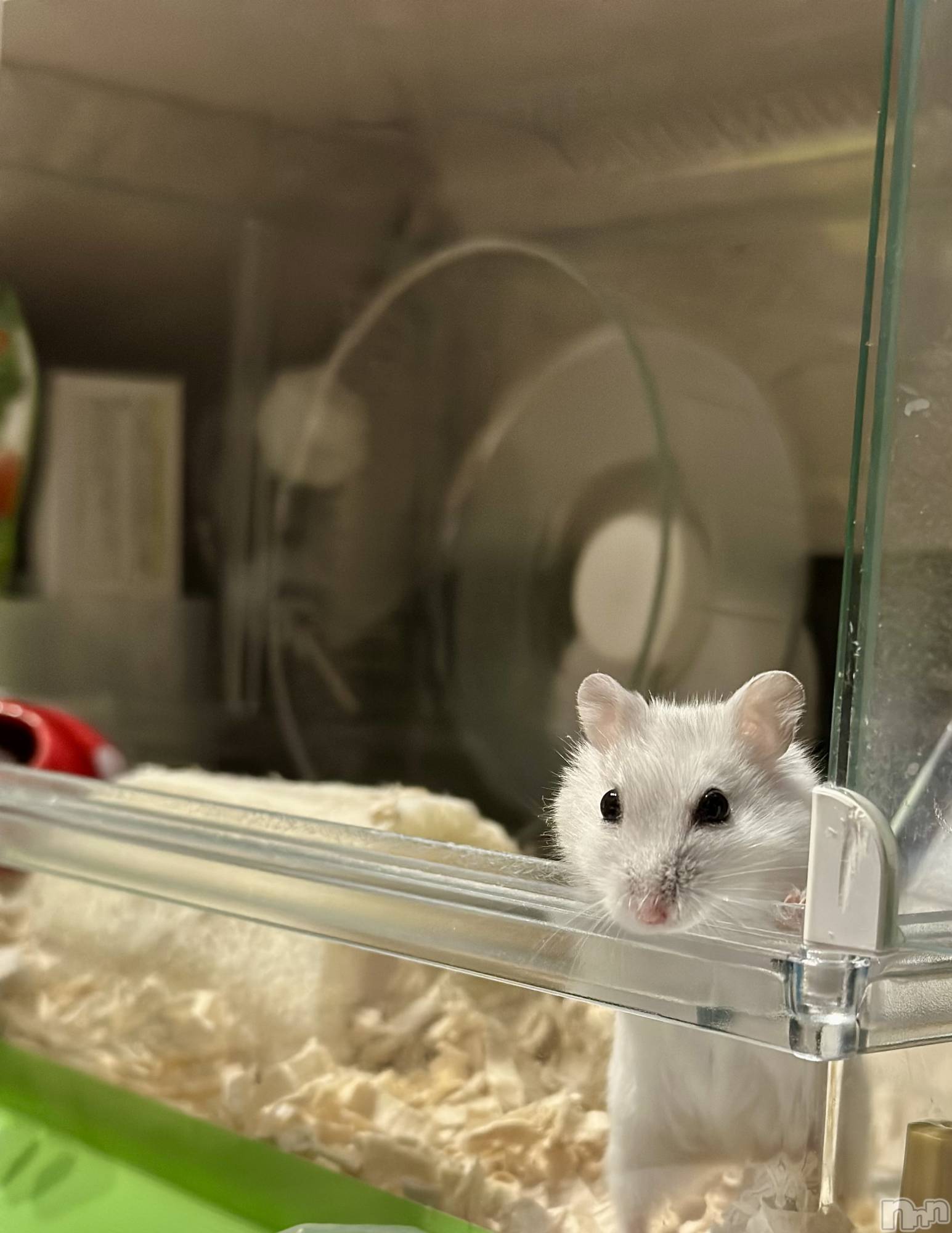 ���ܱ�������Х��顦�����K-LOUNGE(�����饦��) ��2026ǯ1��27���̥�֥����ֺ����Τ������