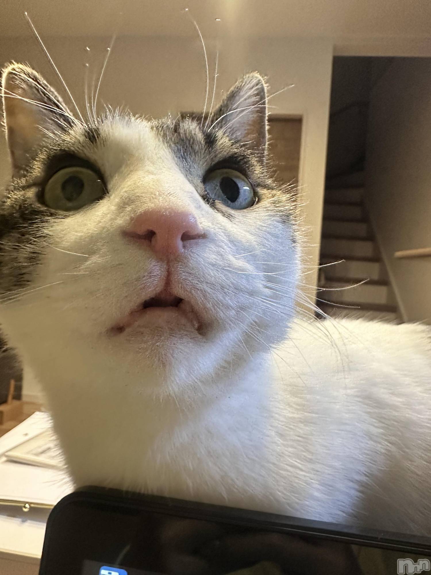 ���ܱ�������Х��顦�����K-LOUNGE(�����饦��) ��2026ǯ2��3���̥�֥����֤ء���