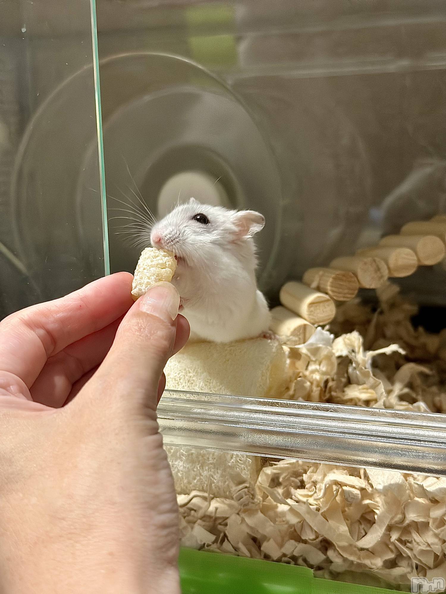 ���ܱ�������Х��顦�����K-LOUNGE(�����饦��) ��2026ǯ2��11���̥�֥����ֺ����Τ������