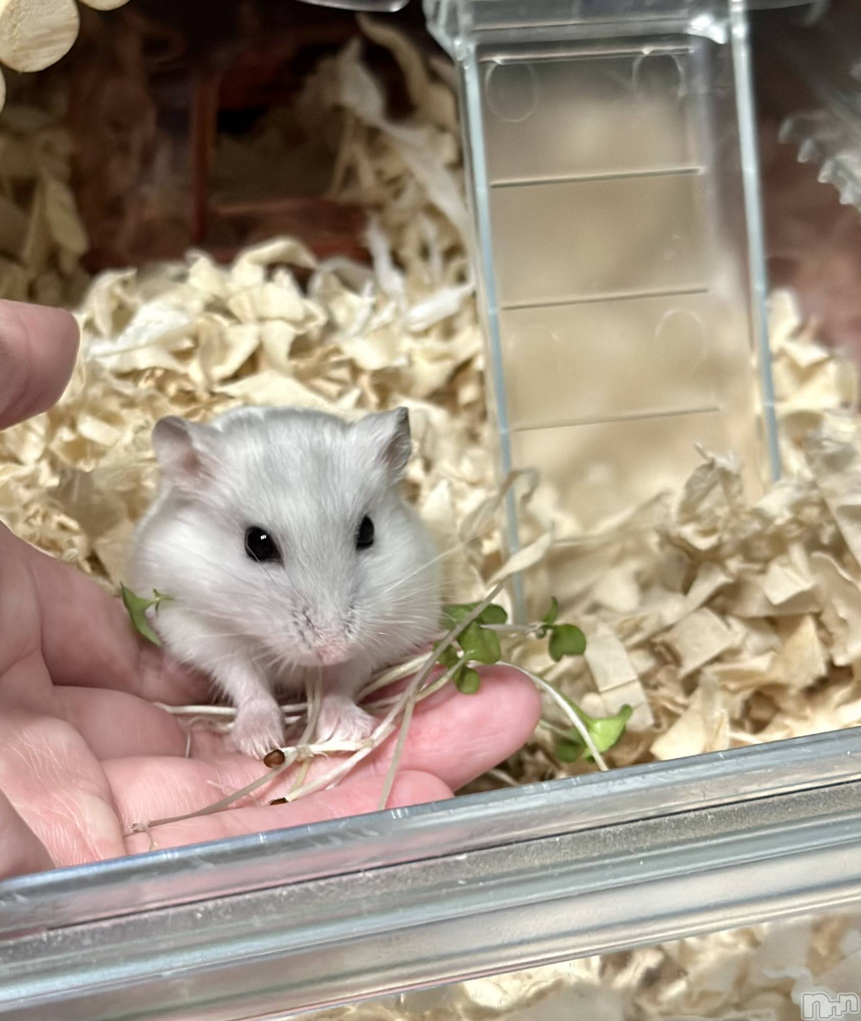 ���ܱ�������Х��顦�����K-LOUNGE(�����饦��) ��2026ǯ2��14���̥�֥����ֺ����Τ������