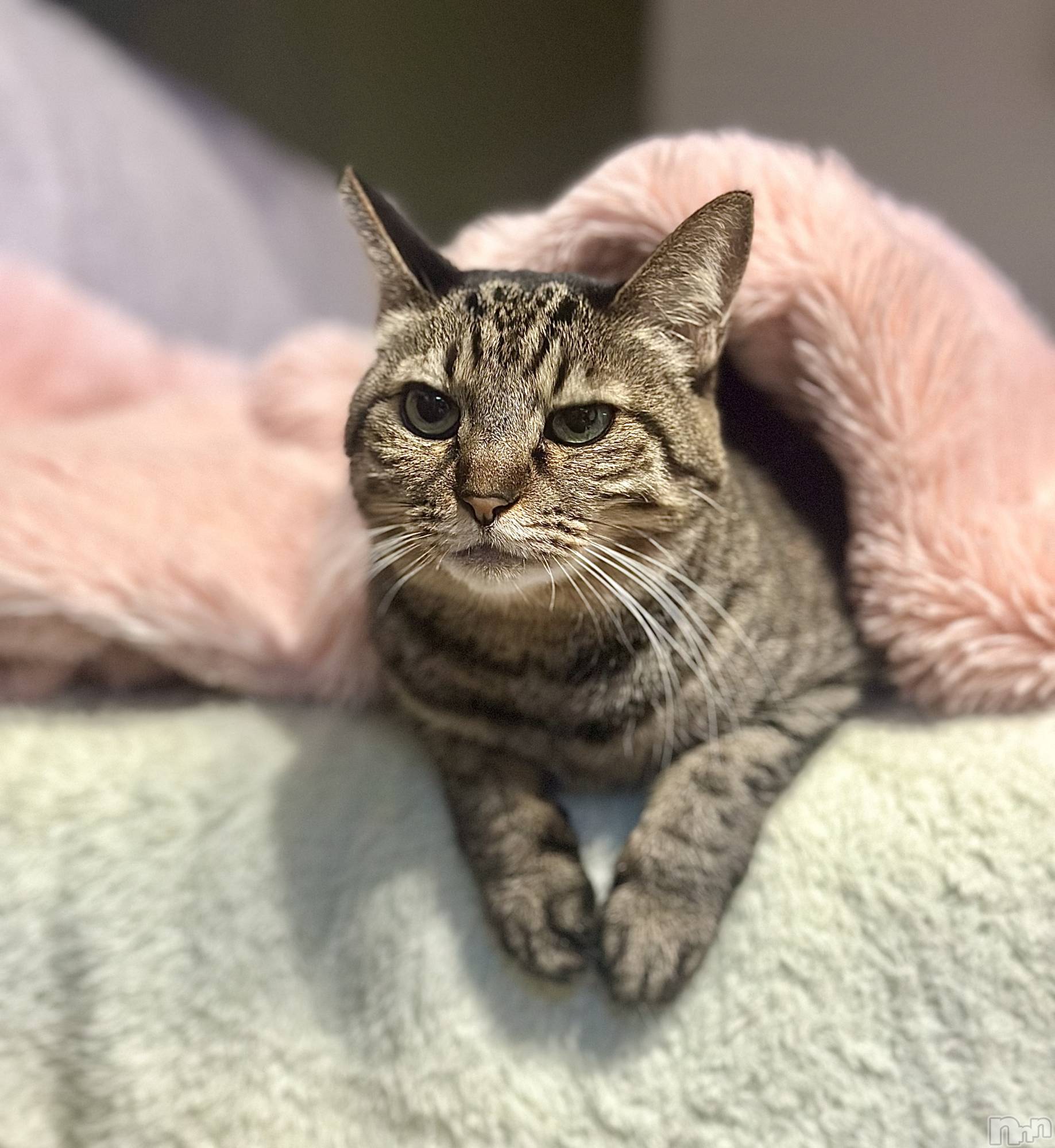 ���ܱ�������Х��顦�����K-LOUNGE(�����饦��) ��2026ǯ2��16���̥�֥�����������