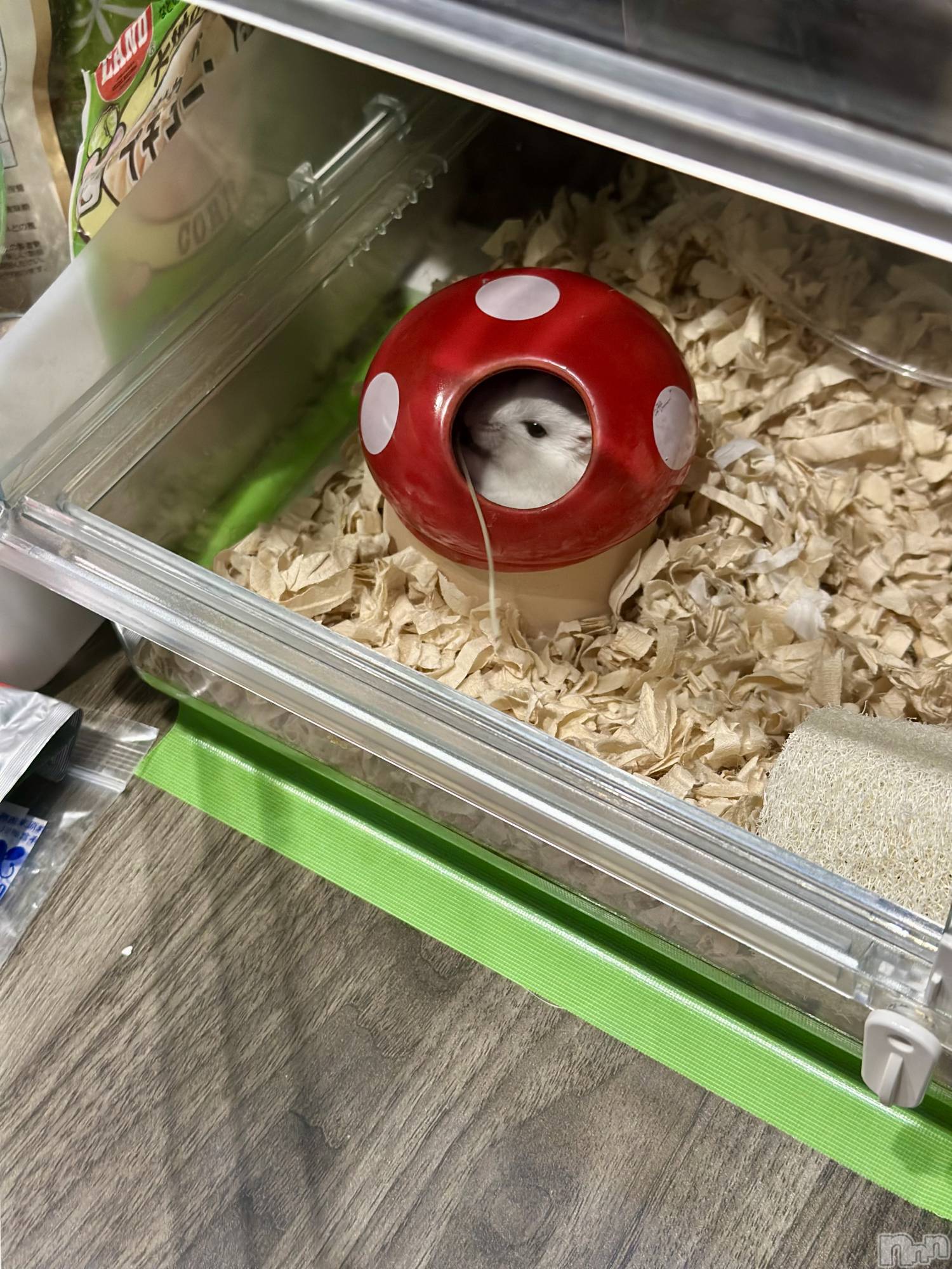 ���ܱ�������Х��顦�����K-LOUNGE(�����饦��) ��2026ǯ2��19���̥�֥����֤���á�