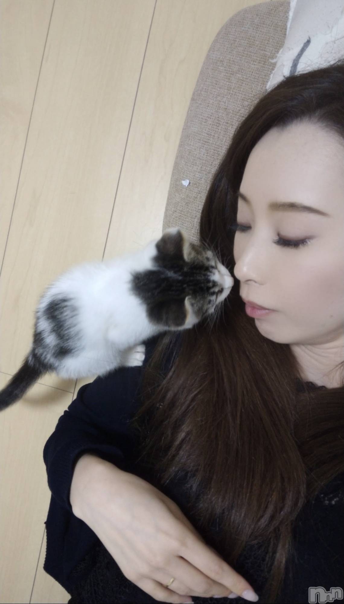 ���ܱ�������Х��顦�����K-LOUNGE(�����饦��) ��2026ǯ2��23���̥�֥����֤��󤯤��