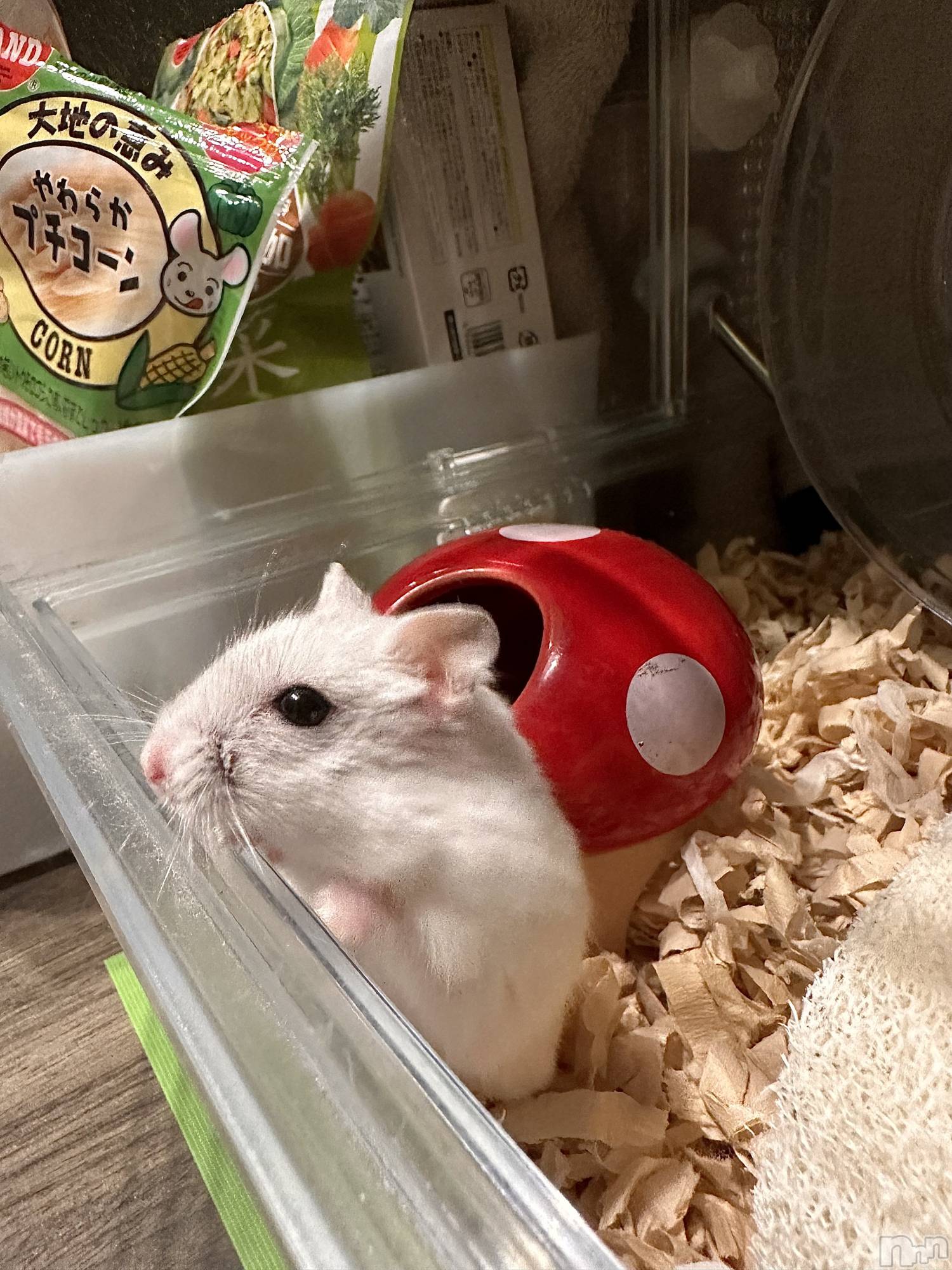 ���ܱ�������Х��顦�����K-LOUNGE(�����饦��) ��2026ǯ2��22���̥�֥����ֺ����Τ������