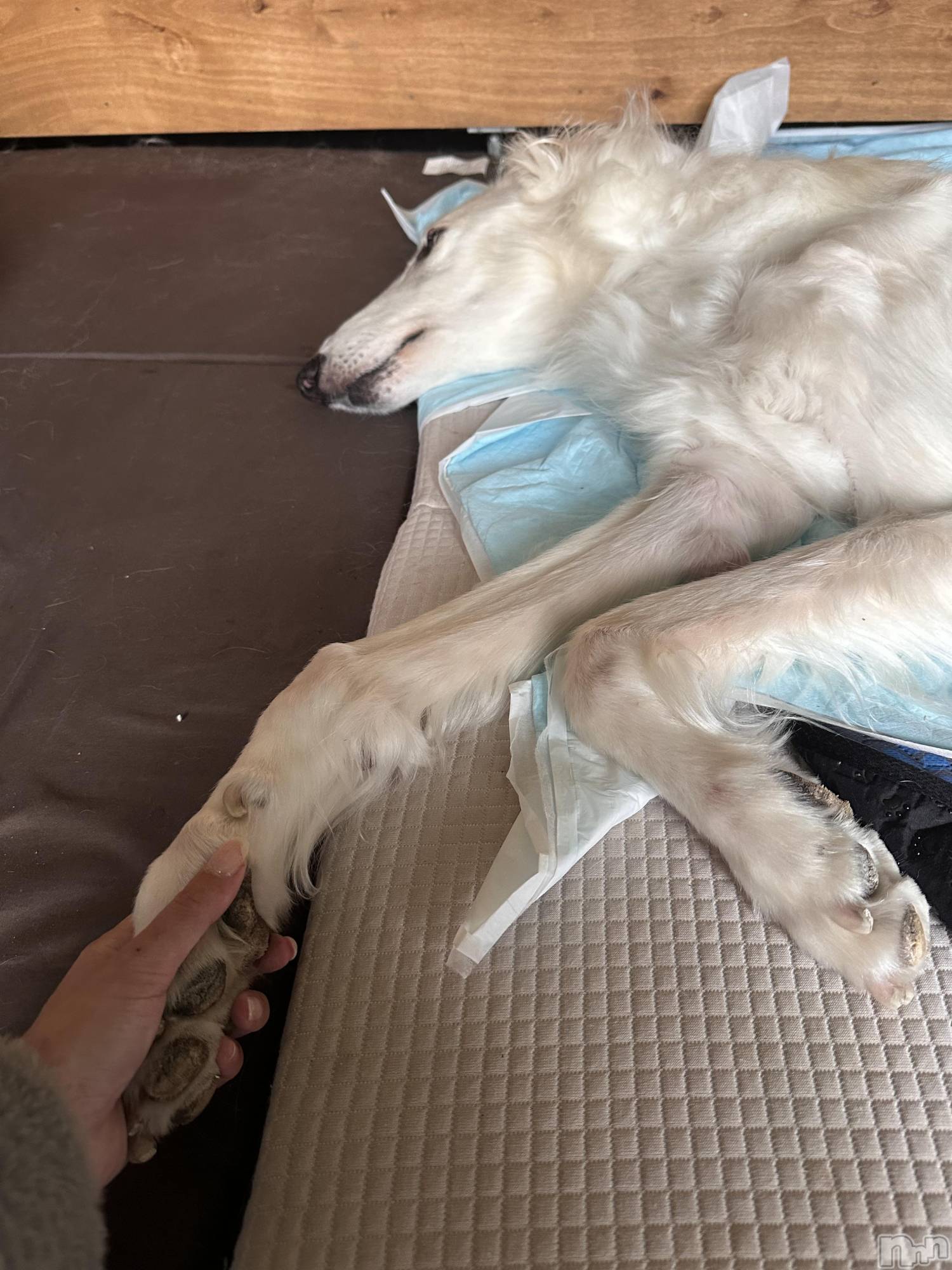 ���ܱ�������Х��顦�����K-LOUNGE(�����饦��) ��2026ǯ2��25���̥�֥����ִ�ĥ�äơ�