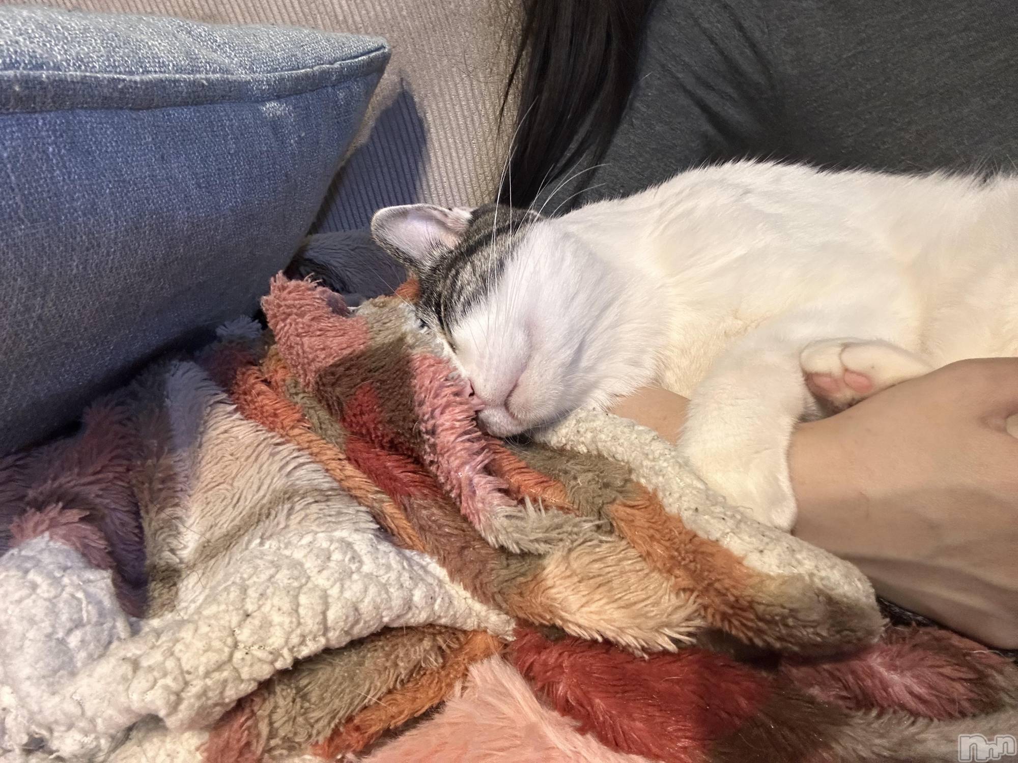 ���ܱ�������Х��顦�����K-LOUNGE(�����饦��) ��2026ǯ3��1���̥�֥�����ή������Ƥ����