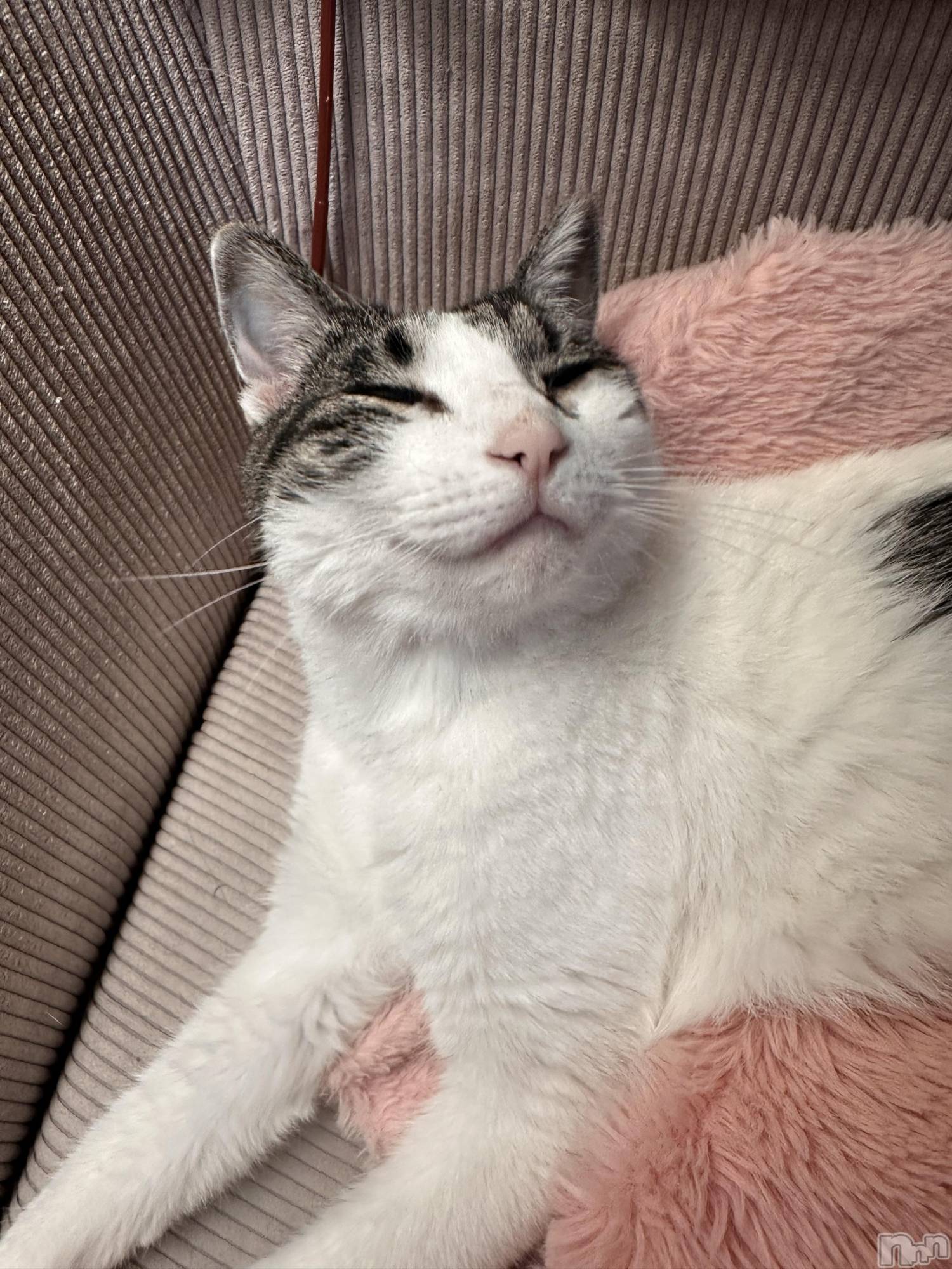 ���ܱ�������Х��顦�����K-LOUNGE(�����饦��) ��2026ǯ3��2���̥�֥����֤ˤä����