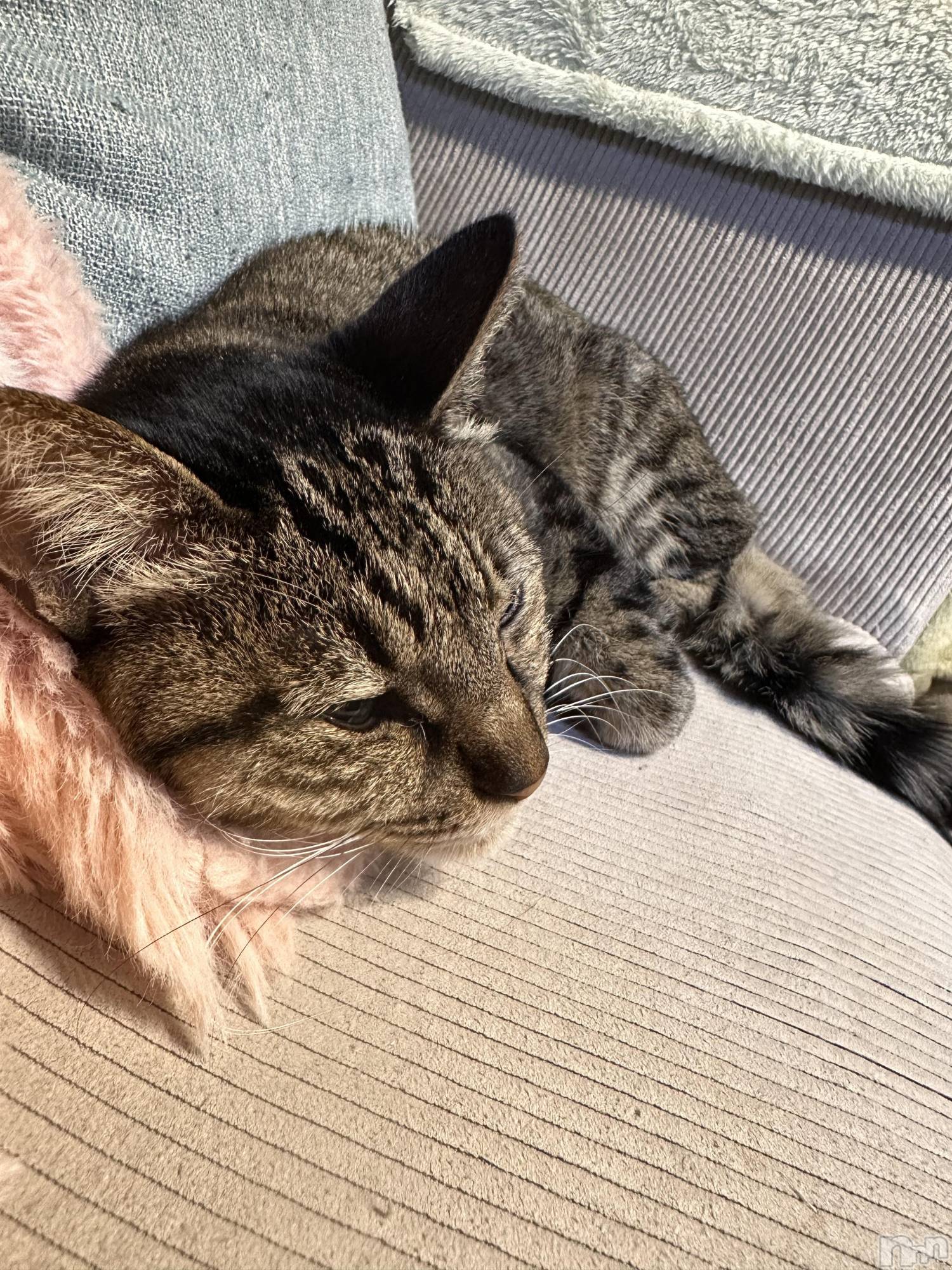 ���ܱ�������Х��顦�����K-LOUNGE(�����饦��) ��2026ǯ3��2���̥�֥����֤�������