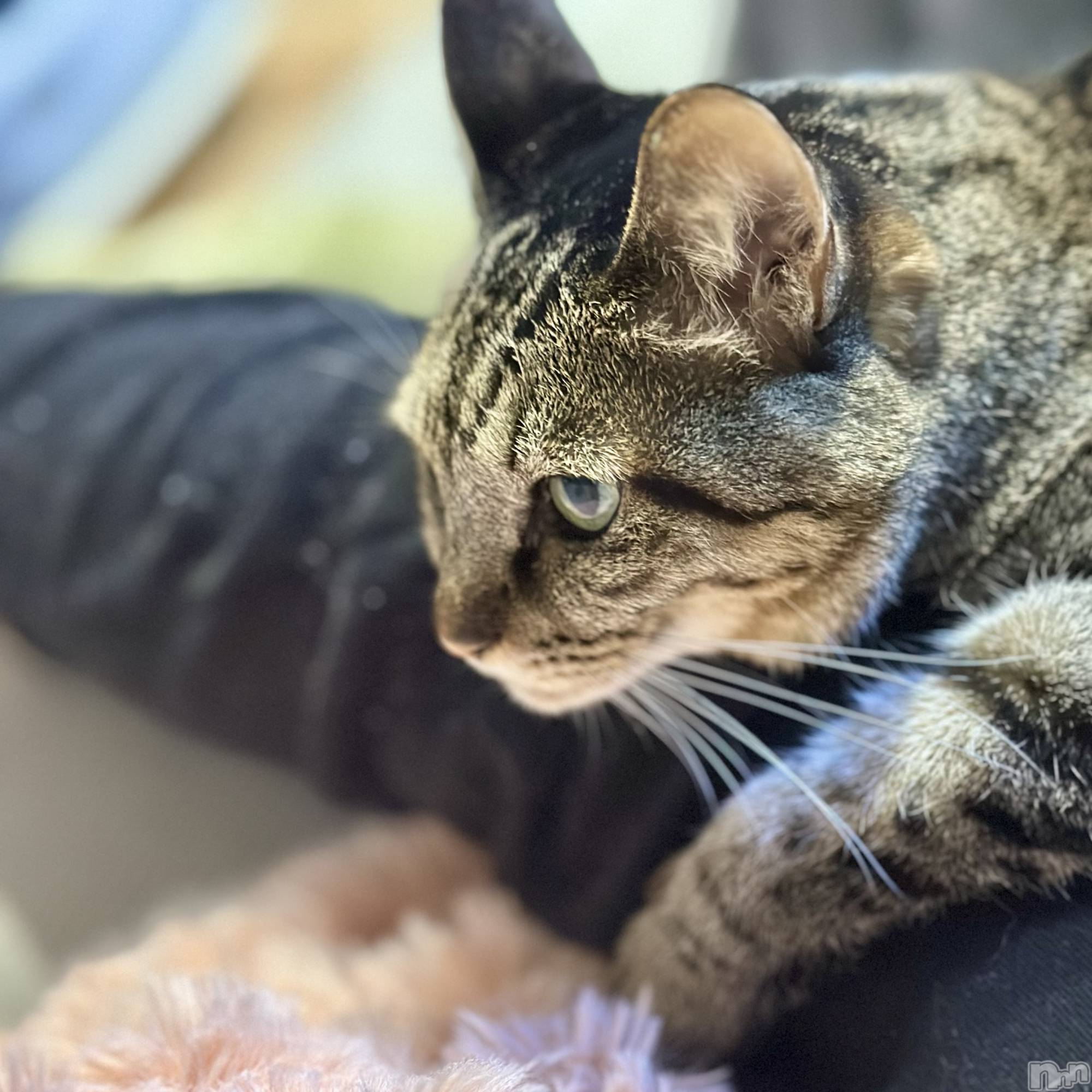 ���ܱ�������Х��顦�����K-LOUNGE(�����饦��) ��2026ǯ3��2���̥�֥����֤ۤ���