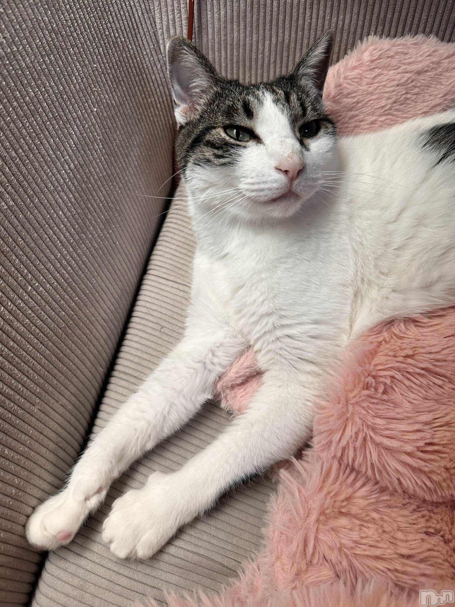 ���ܱ�������Х��顦�����K-LOUNGE(�����饦��) ��2026ǯ3��4���̥�֥�����☺︎︎��