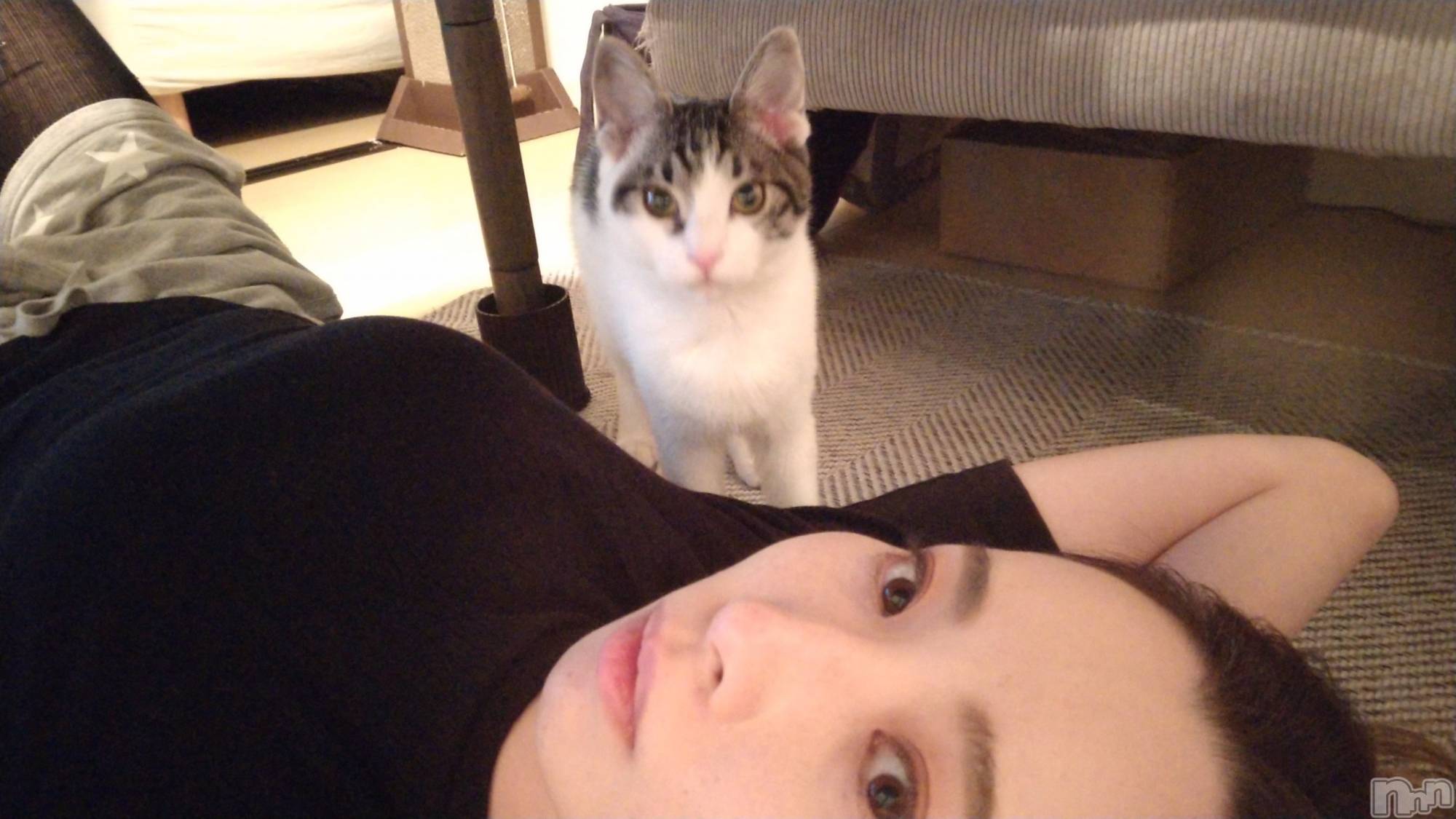 ���ܱ�������Х��顦�����K-LOUNGE(�����饦��) ��2026ǯ3��4���̥�֥����֤ˤ㡩��