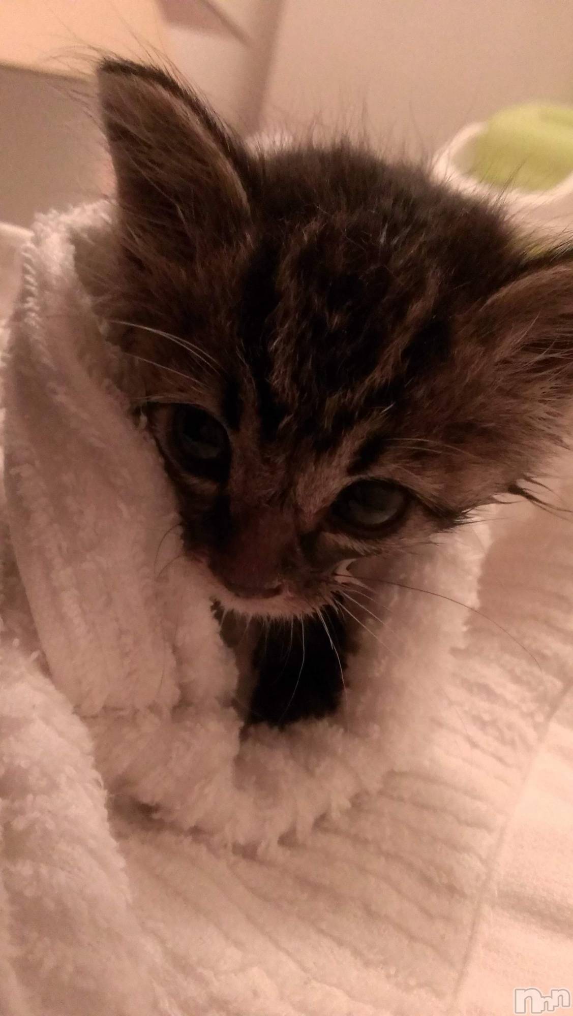 ���ܱ�������Х��顦�����K-LOUNGE(�����饦��) ��2026ǯ3��4���̥�֥����֤��Ӥá�