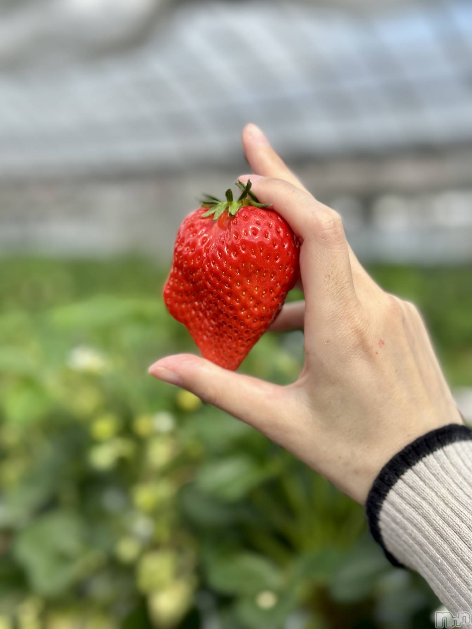 ���ܱ�������Х��顦�����K-LOUNGE(�����饦��) ��2026ǯ3��7���̥�֥����֤���������