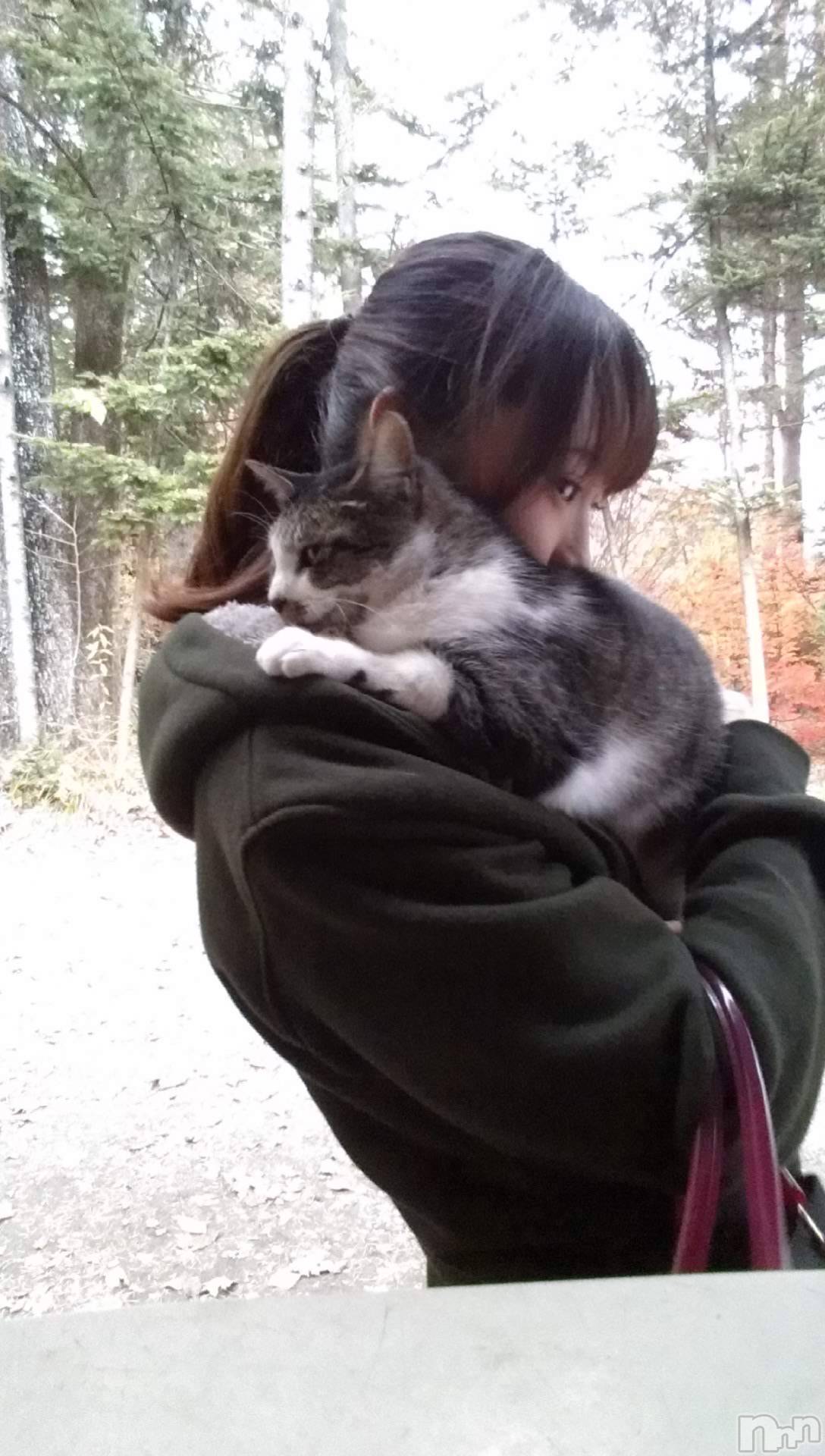 ���ܱ�������Х��顦�����K-LOUNGE(�����饦��) ��2026ǯ3��8���̥�֥��������ɤ����