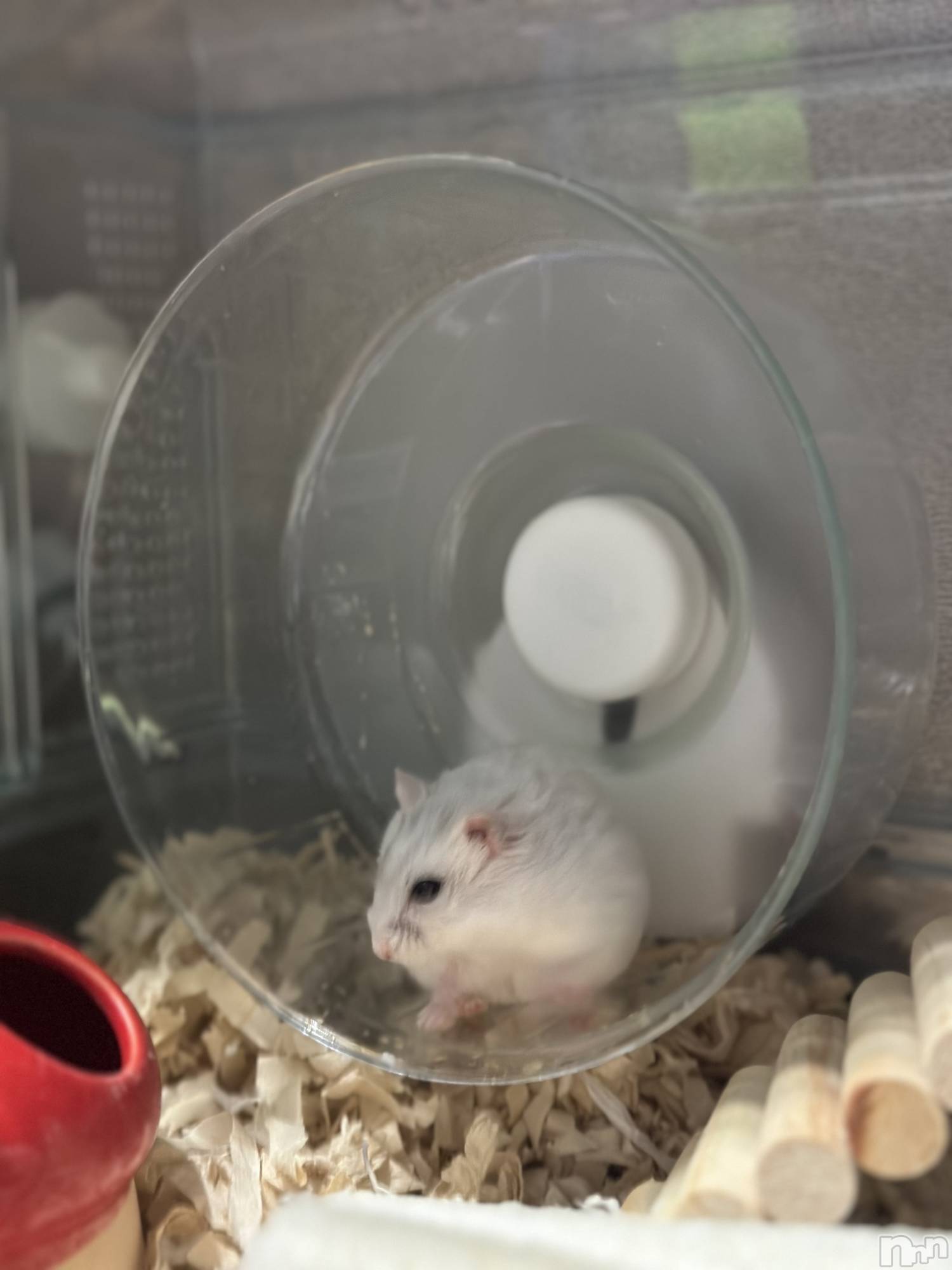 ���ܱ�������Х��顦�����K-LOUNGE(�����饦��) ��2026ǯ3��9���̥�֥����ֿ��ʤ����