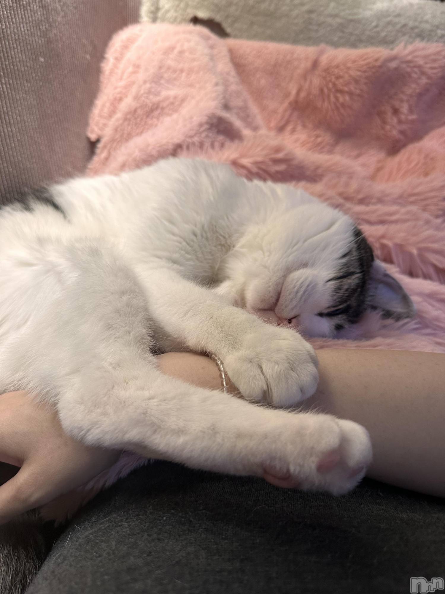 ���ܱ�������Х��顦�����K-LOUNGE(�����饦��) ��2026ǯ3��11���̥�֥����֤��ˤ���