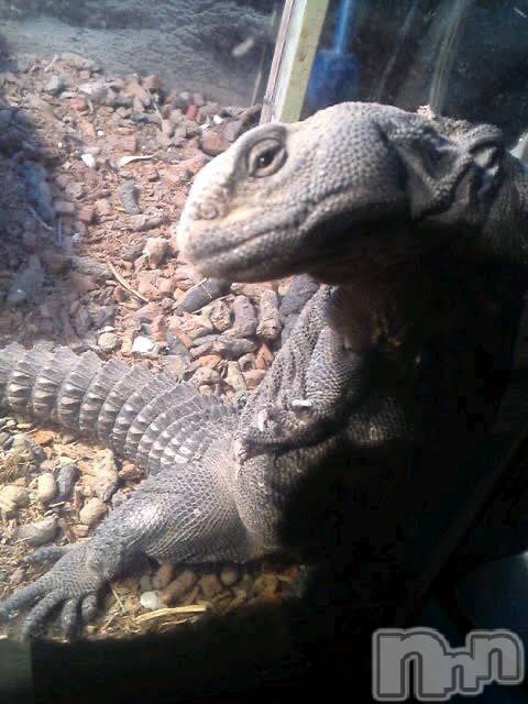 ���ܱ�������Х��顦�����K-LOUNGE(�����饦��) ��2026ǯ3��15���̥�֥����֤��λҤ��