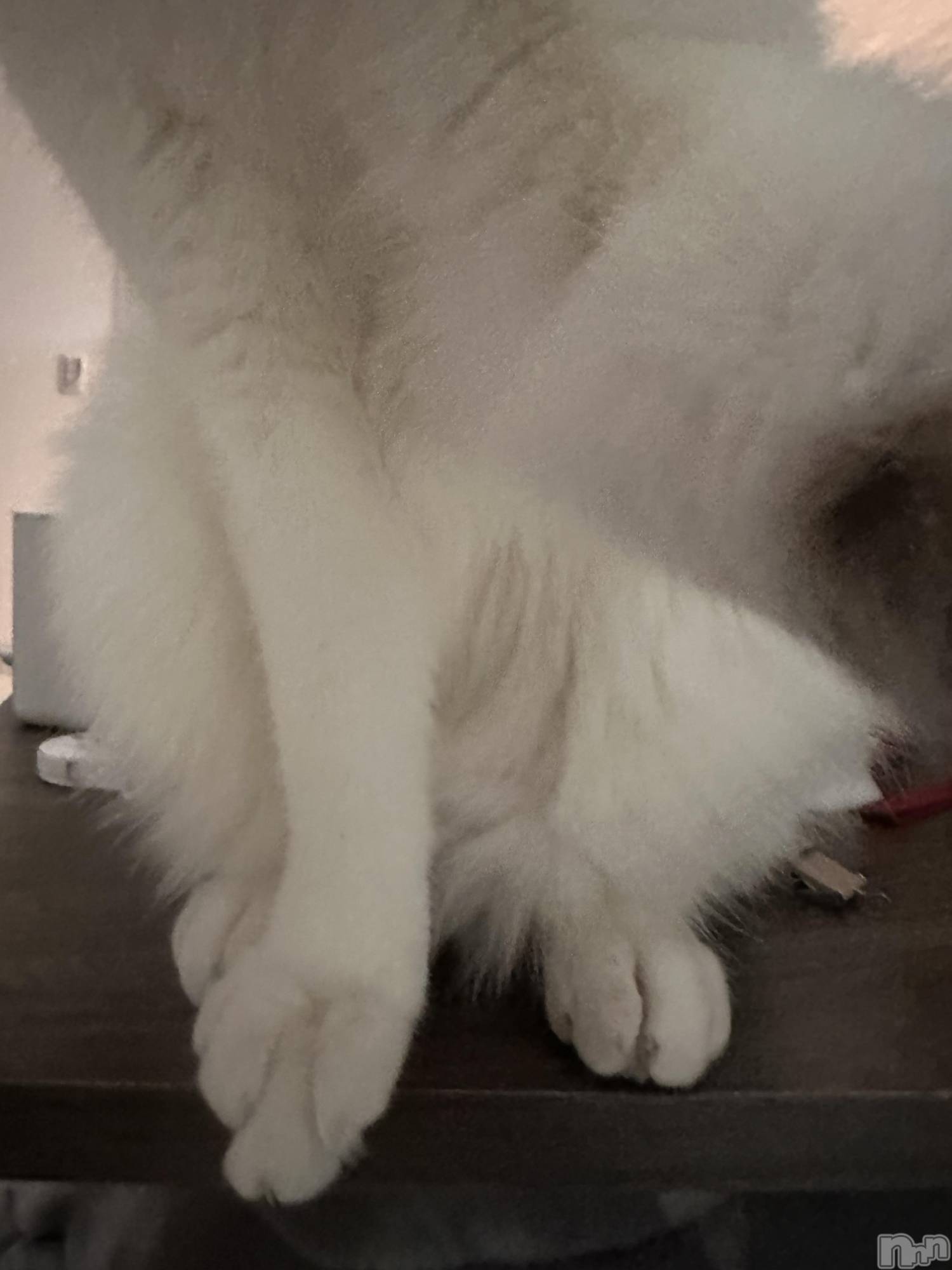 ���ܱ�������Х��顦�����K-LOUNGE(�����饦��) ��2026ǯ3��16���̥�֥�����ᗢᘏᓗ��