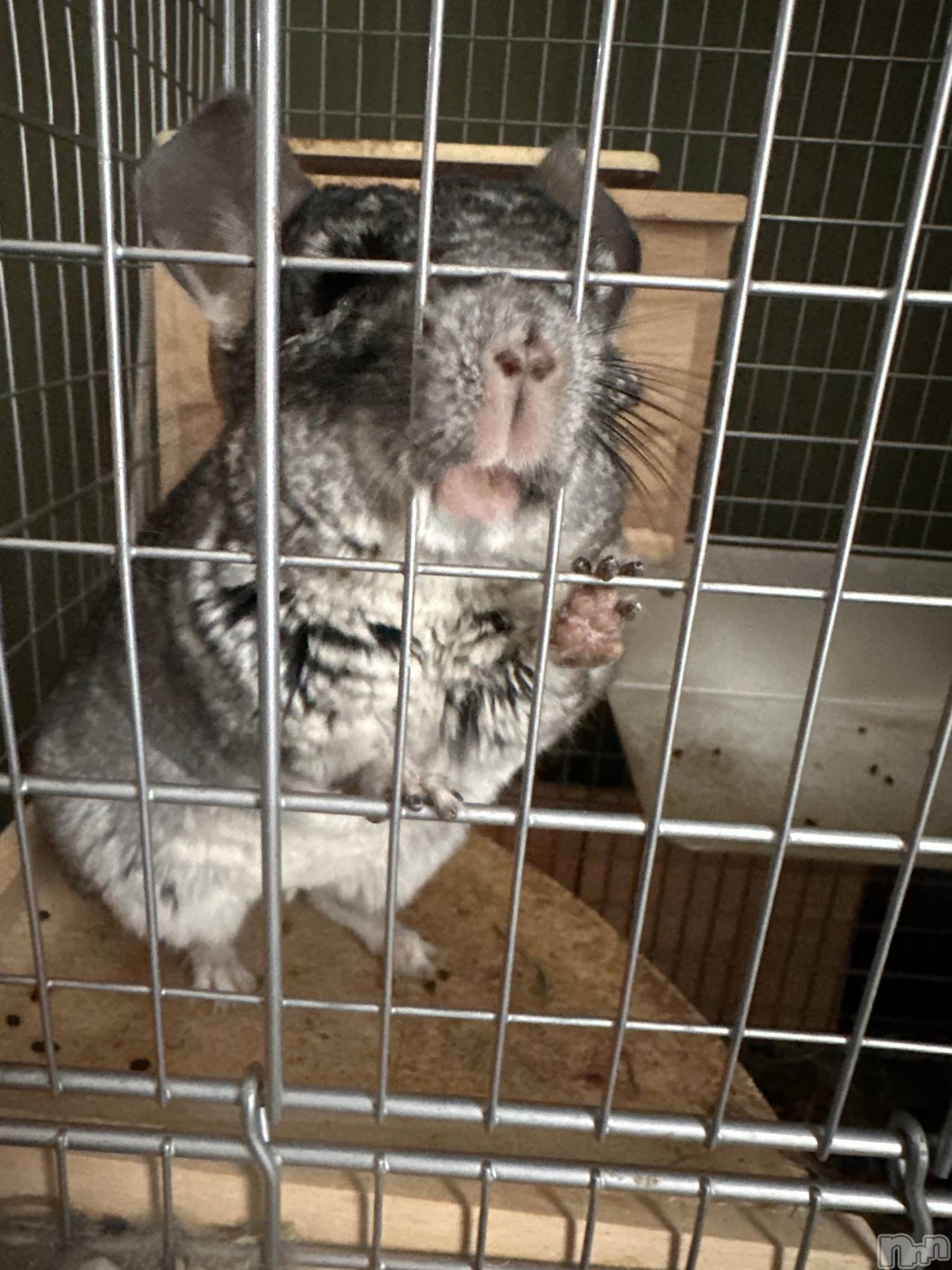 ���ܱ�������Х��顦�����K-LOUNGE(�����饦��) ��2026ǯ3��17���̥�֥����֤֤ˤá�