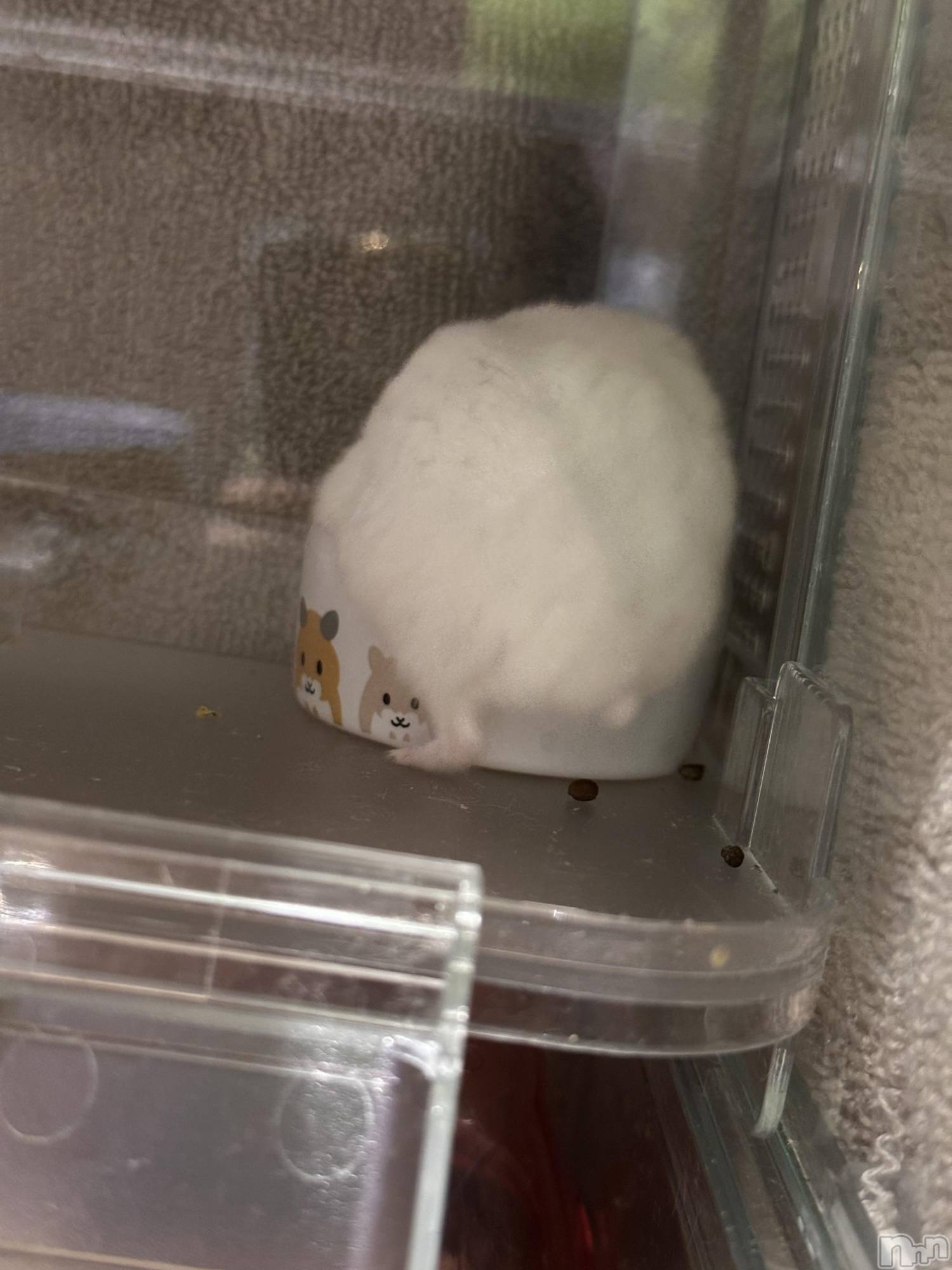 ���ܱ�������Х��顦�����K-LOUNGE(�����饦��) ��2026ǯ3��20���̥�֥����ֺ����Τ������