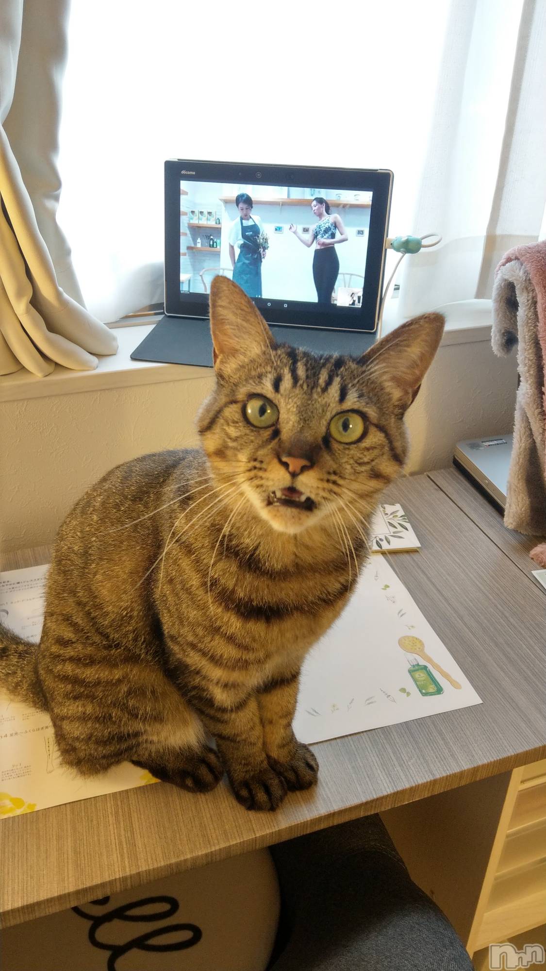 ���ܱ�������Х��顦�����K-LOUNGE(�����饦��) ��2026ǯ3��21���̥�֥����֤ޡ���