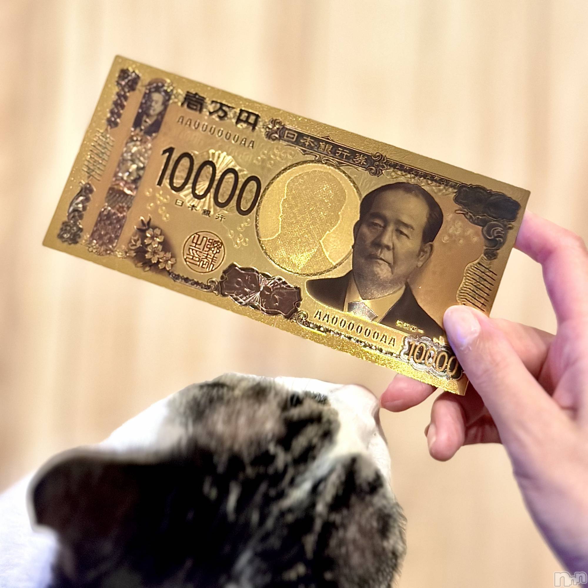 ���ܱ�������Х��顦�����K-LOUNGE(�����饦��) ��2026ǯ3��22���̥�֥����֤����ס�����