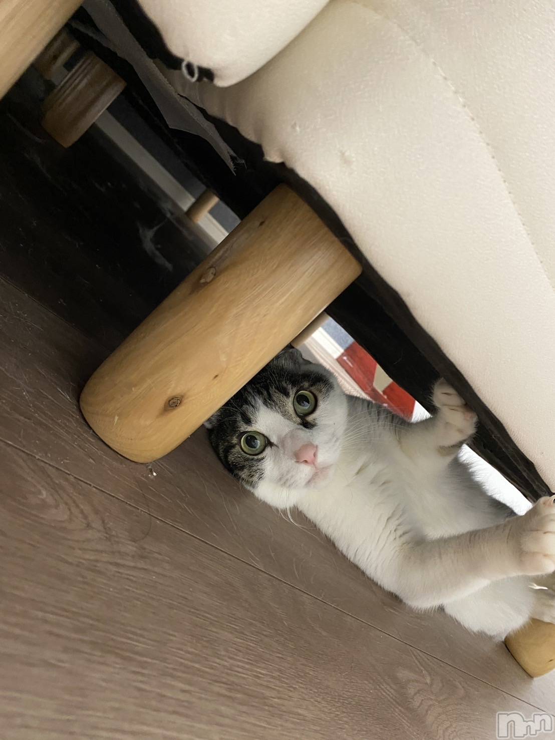 ���ܱ�������Х��顦�����K-LOUNGE(�����饦��) ��2026ǯ3��26���̥�֥����־�������