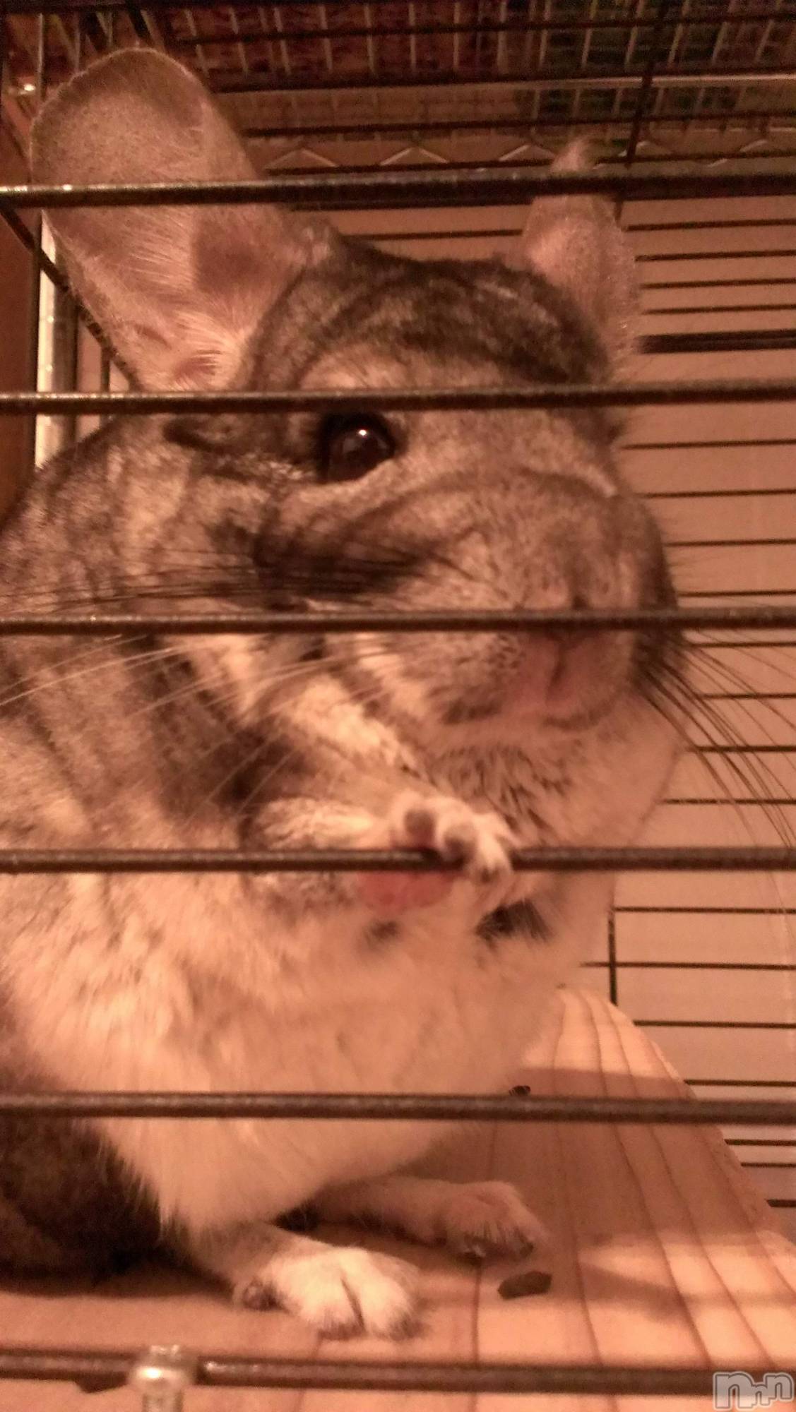 ���ܱ�������Х��顦�����K-LOUNGE(�����饦��) ��2026ǯ3��29���̥�֥����ֵפ��֤�Ρ�