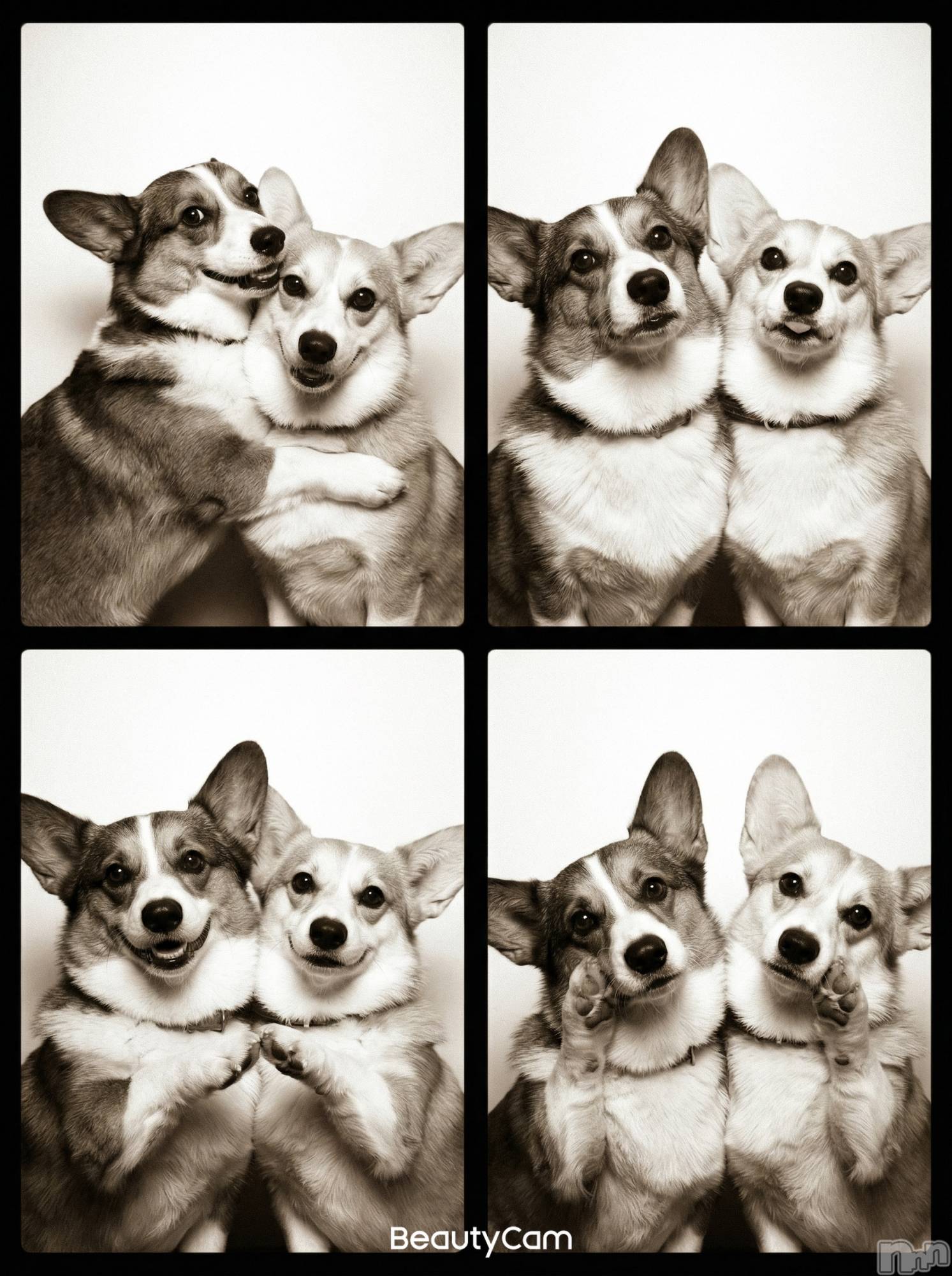 ���ܱ�������Х��顦�����K-LOUNGE(�����饦��) ��2026ǯ4��4���̥�֥����ֵ㤱���