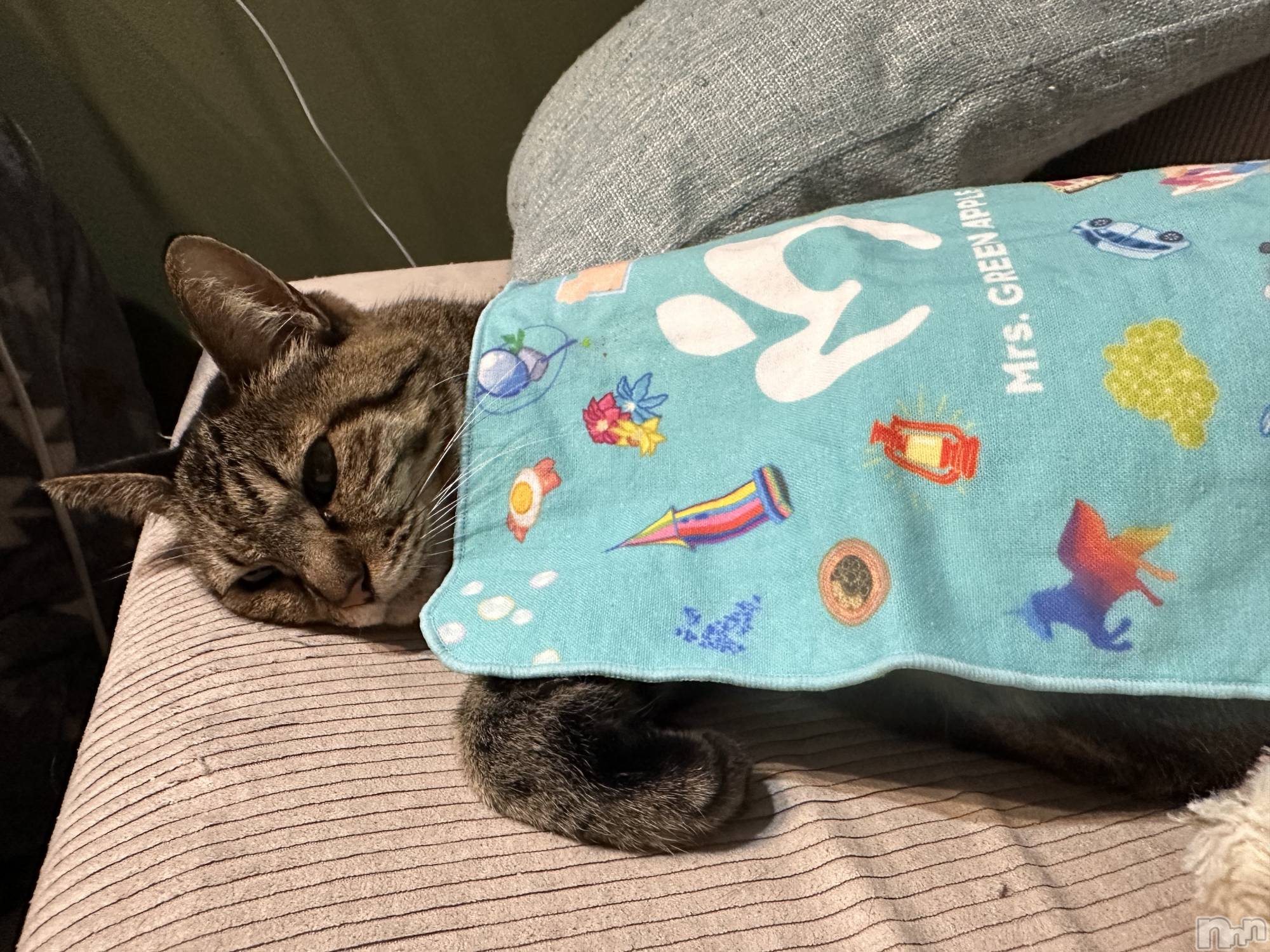 ���ܱ�������Х��顦�����K-LOUNGE(�����饦��) ��2026ǯ4��6���̥�֥�����������