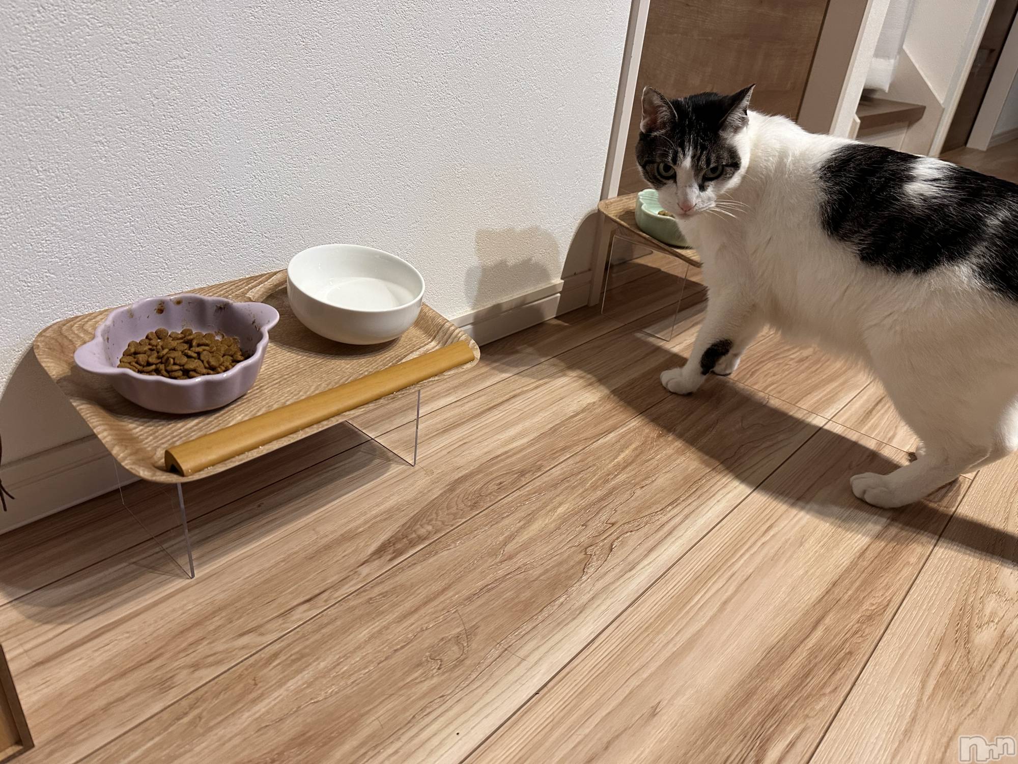 ���ܱ�������Х��顦�����K-LOUNGE(�����饦��) ��2026ǯ4��8���̥�֥����ֺ�ä���