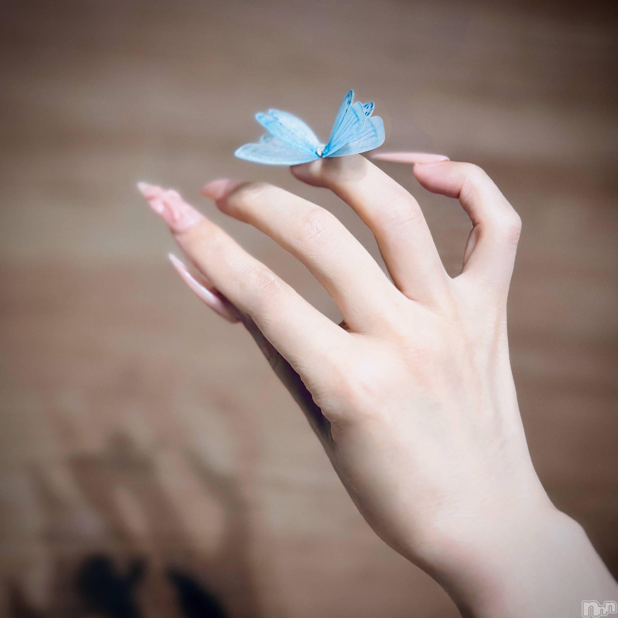 ���ܱ�������Х��顦�����K-LOUNGE(�����饦��) ��2026ǯ4��14���̥�֥����ֽա�