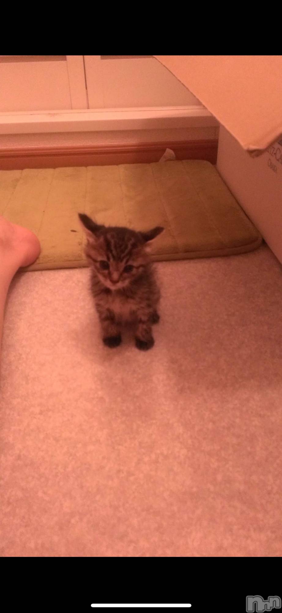 ���ܱ�������Х��顦�����K-LOUNGE(�����饦��) ��2026ǯ4��14���̥�֥����֤���Ǥ����ȡ�