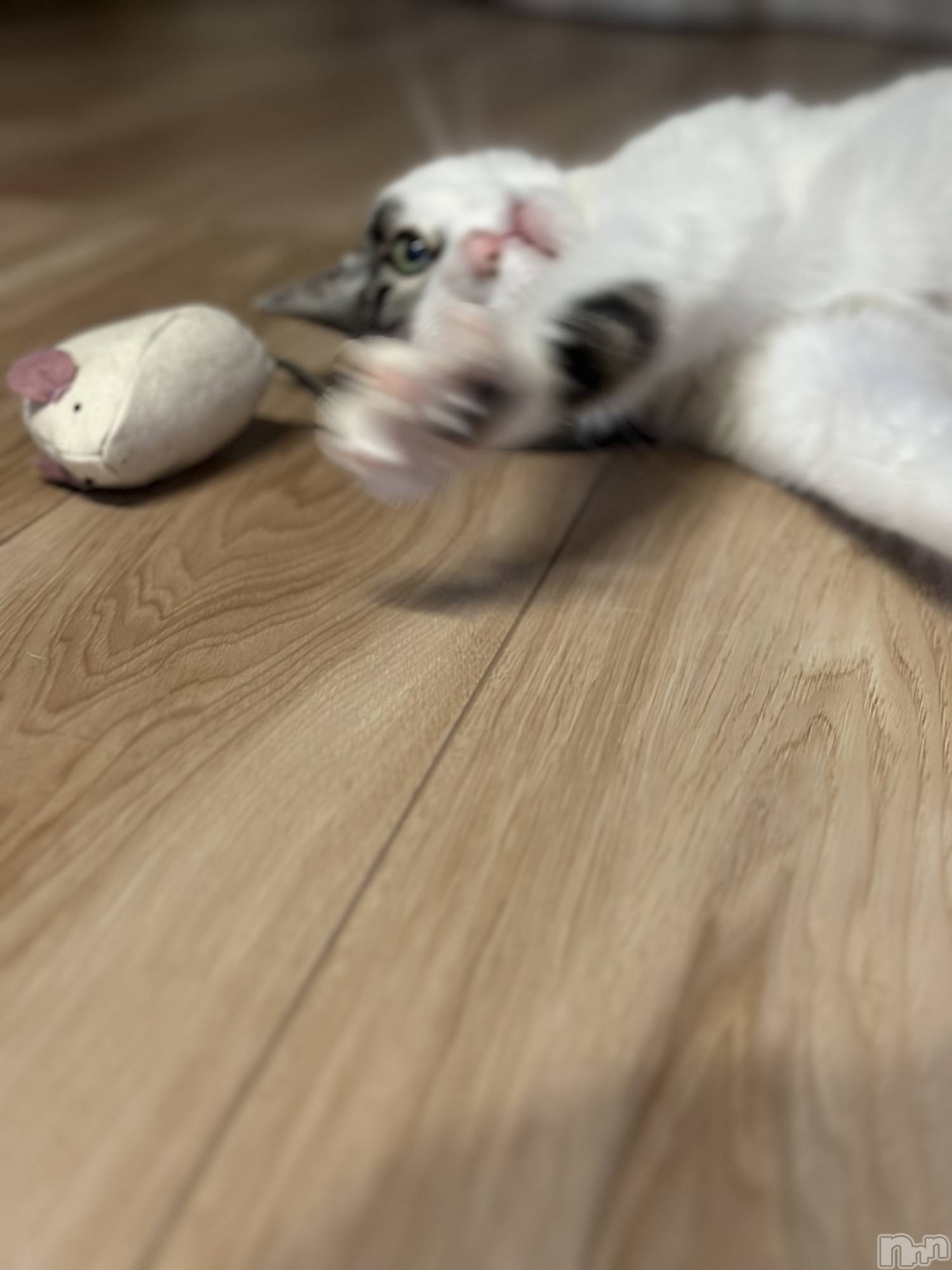 ���ܱ�������Х��顦�����K-LOUNGE(�����饦��) ��2026ǯ4��14���̥�֥����֤���á�