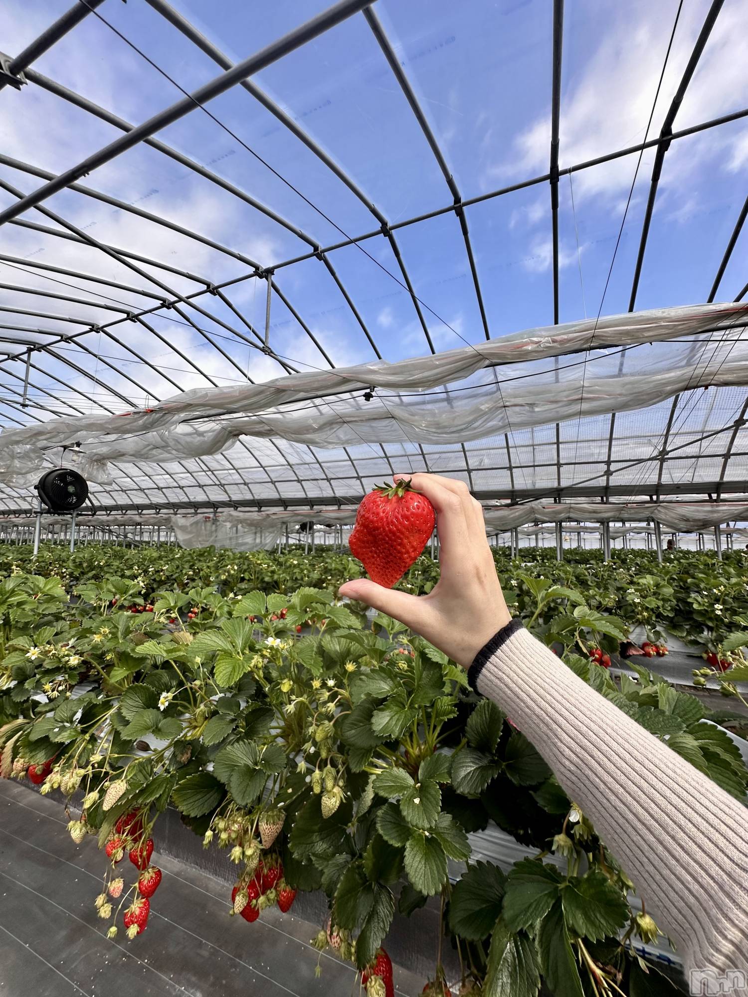 ���ܱ�������Х��顦�����K-LOUNGE(�����饦��) ��2026ǯ4��15���̥�֥����֤ˤ硼���