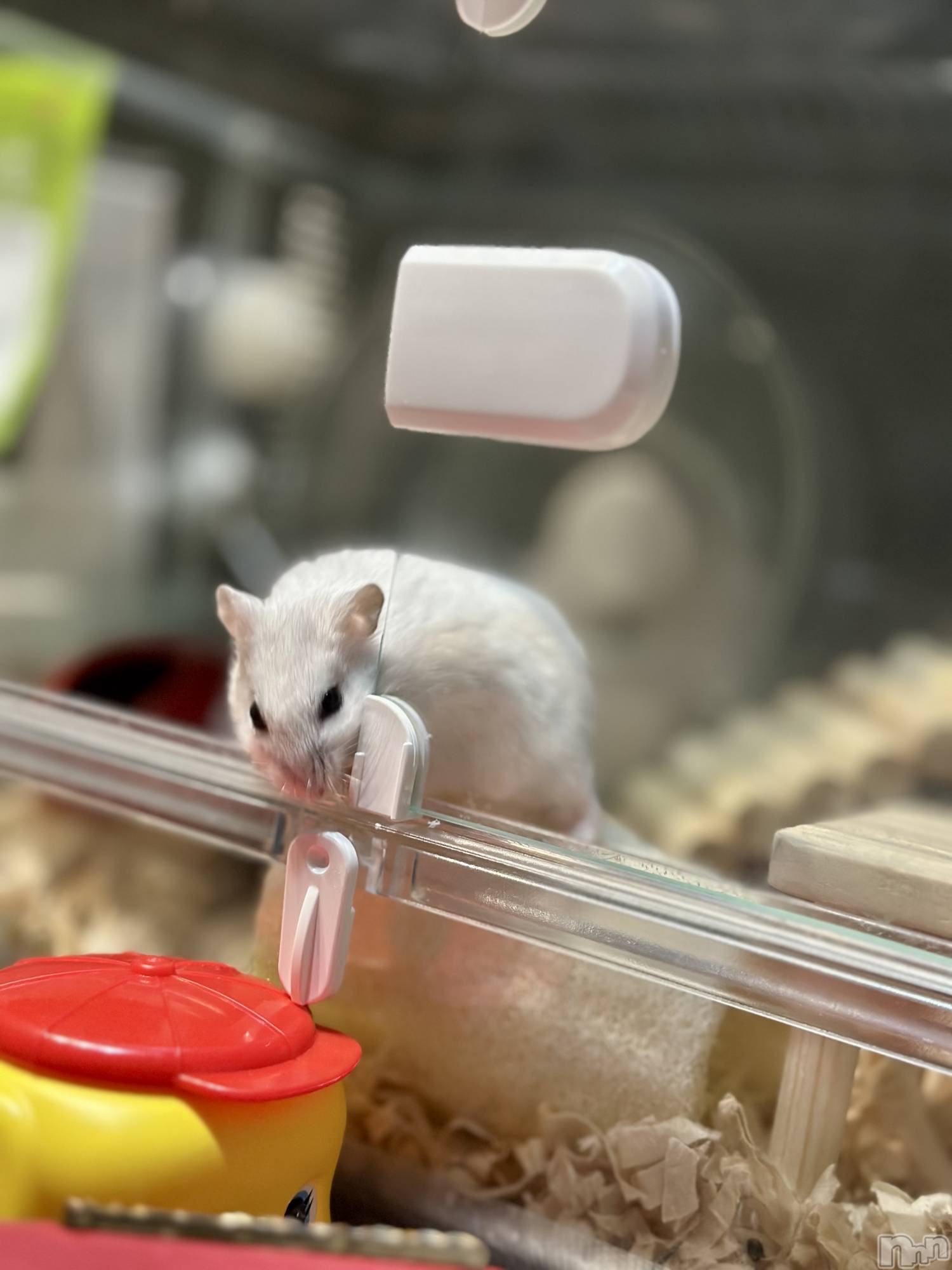 ���ܱ�������Х��顦�����K-LOUNGE(�����饦��) ��2026ǯ4��19���̥�֥����ֺ����Τ������