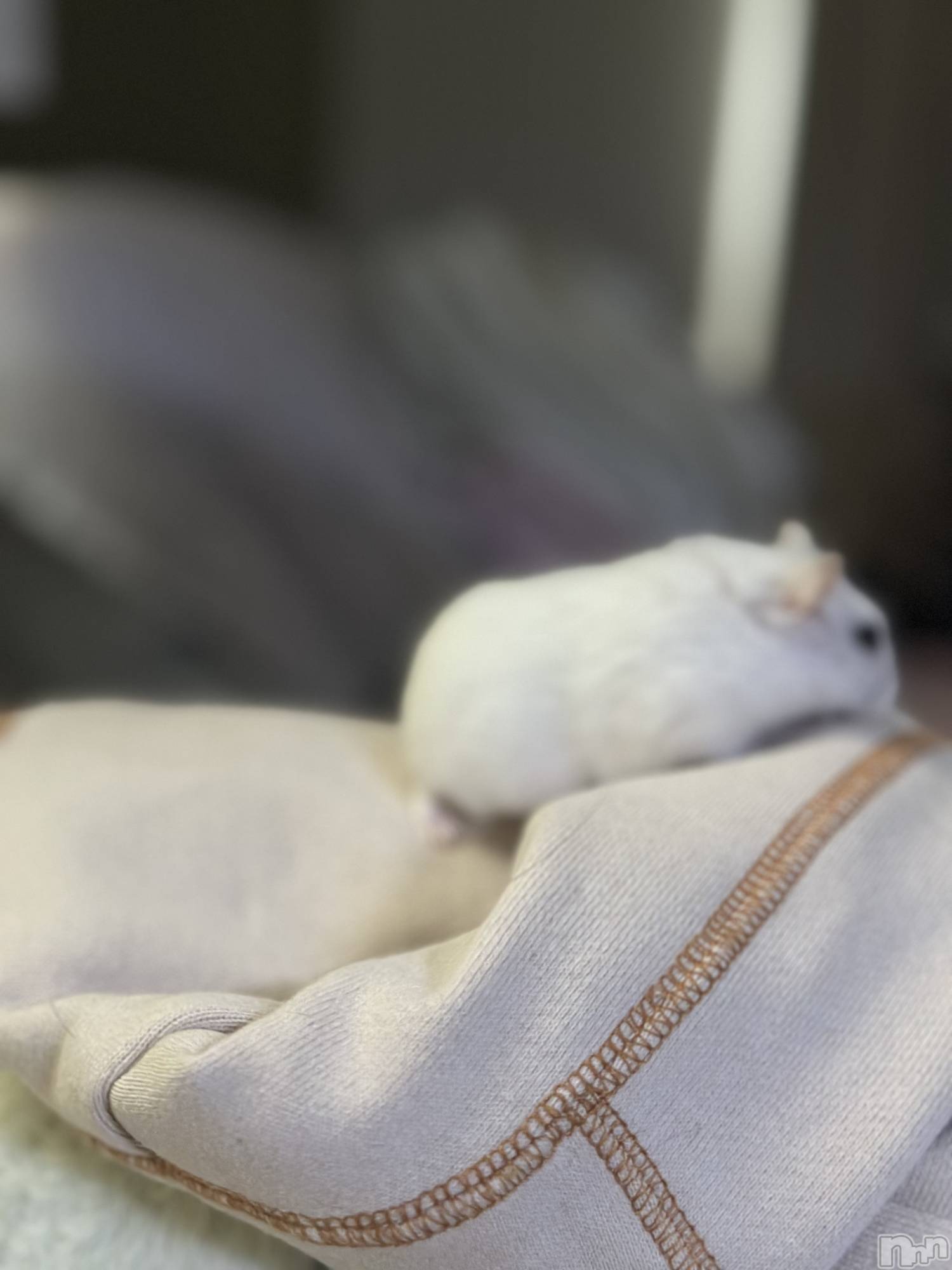 ���ܱ�������Х��顦�����K-LOUNGE(�����饦��) ��2026ǯ4��22���̥�֥����֤ҤȤꤴ�ȡ�