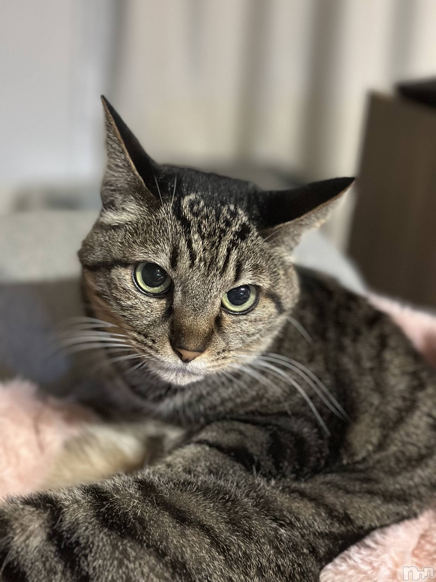 ���ܱ�������Х��顦�����K-LOUNGE(�����饦��) ��2026ǯ4��24���̥�֥����֤ҤȤꤴ�ȡ�