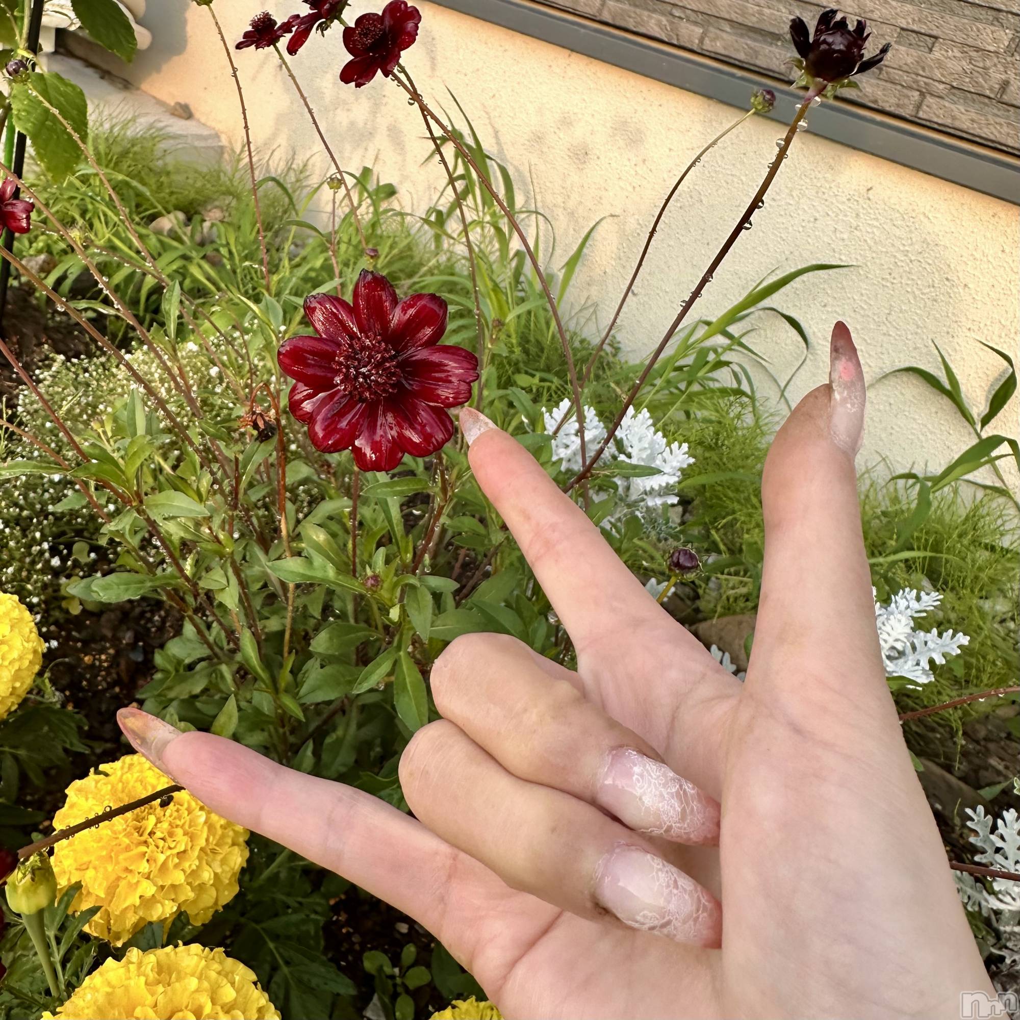 ���ܱ�������Х��顦�����K-LOUNGE(�����饦��) ��2026ǯ7��17���̥�֥�����🤟��