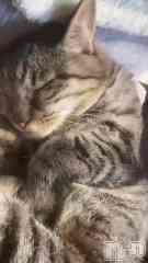 ���ܱ�������Х��顦����� K-LOUNGE(�����饦��) ƣ�� �����3��9��ư���ෆ‪��