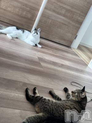 ܱХ顦K-LOUNGE(饦) ƣ (36)612ֽ̥֥뤤Ǥ͡