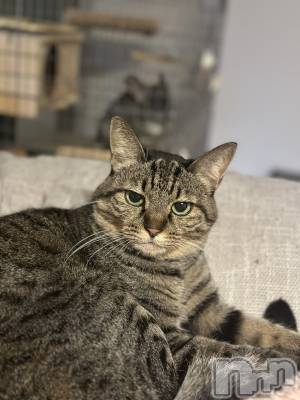 ܱХ顦K-LOUNGE(饦) ƣ (36)115̥֥֤ߡȡ