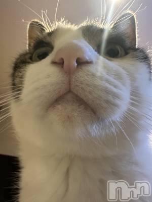 ܱХ顦K-LOUNGE(饦) ƣ (36)113̥֥֤ޤޤ