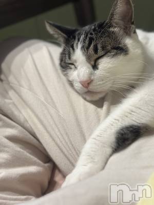 ܱХ顦K-LOUNGE(饦) ƣ (36)1116̥֥֤С